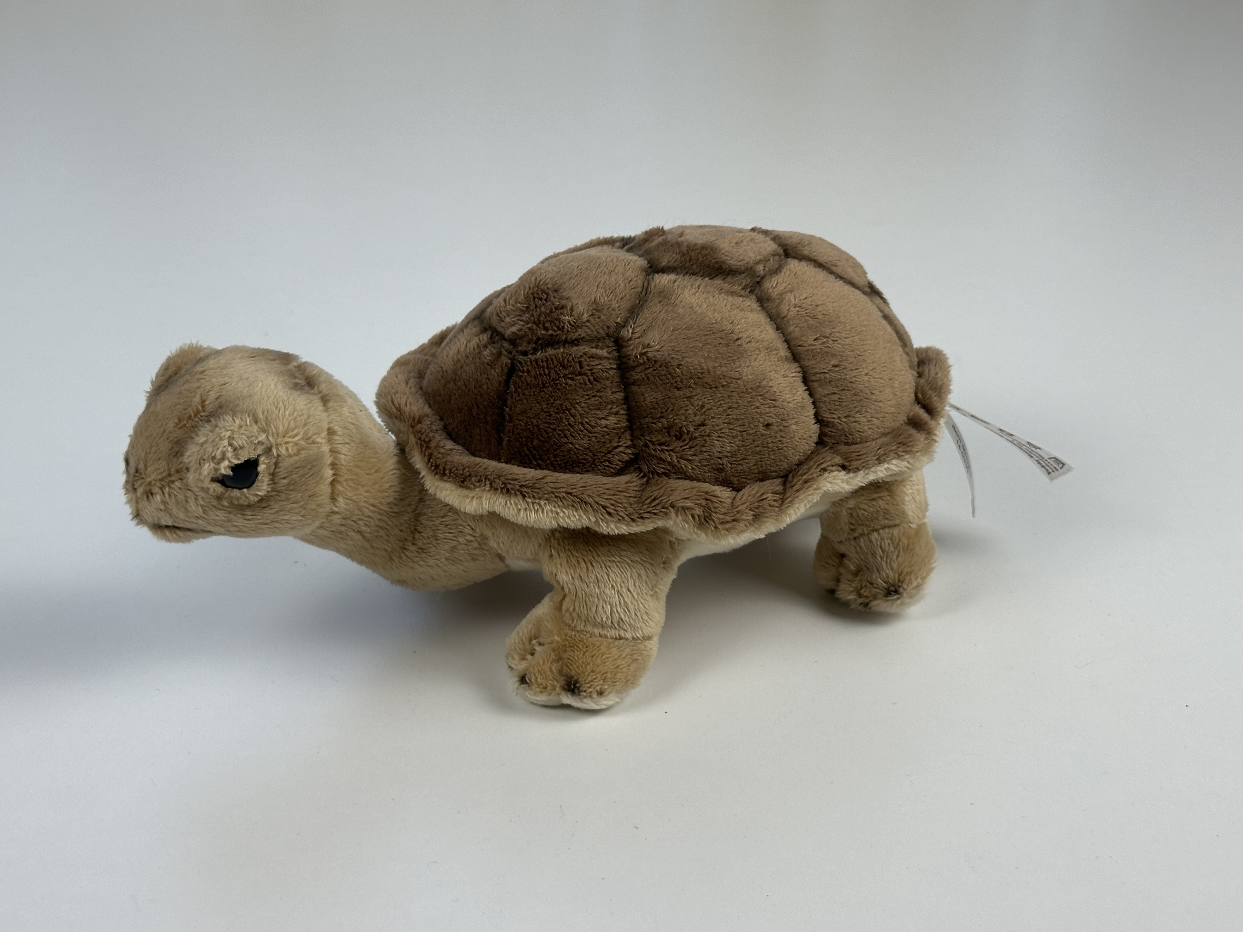 Hermann Sammler Schildkröte 9 x 21 cm. Top Zustand