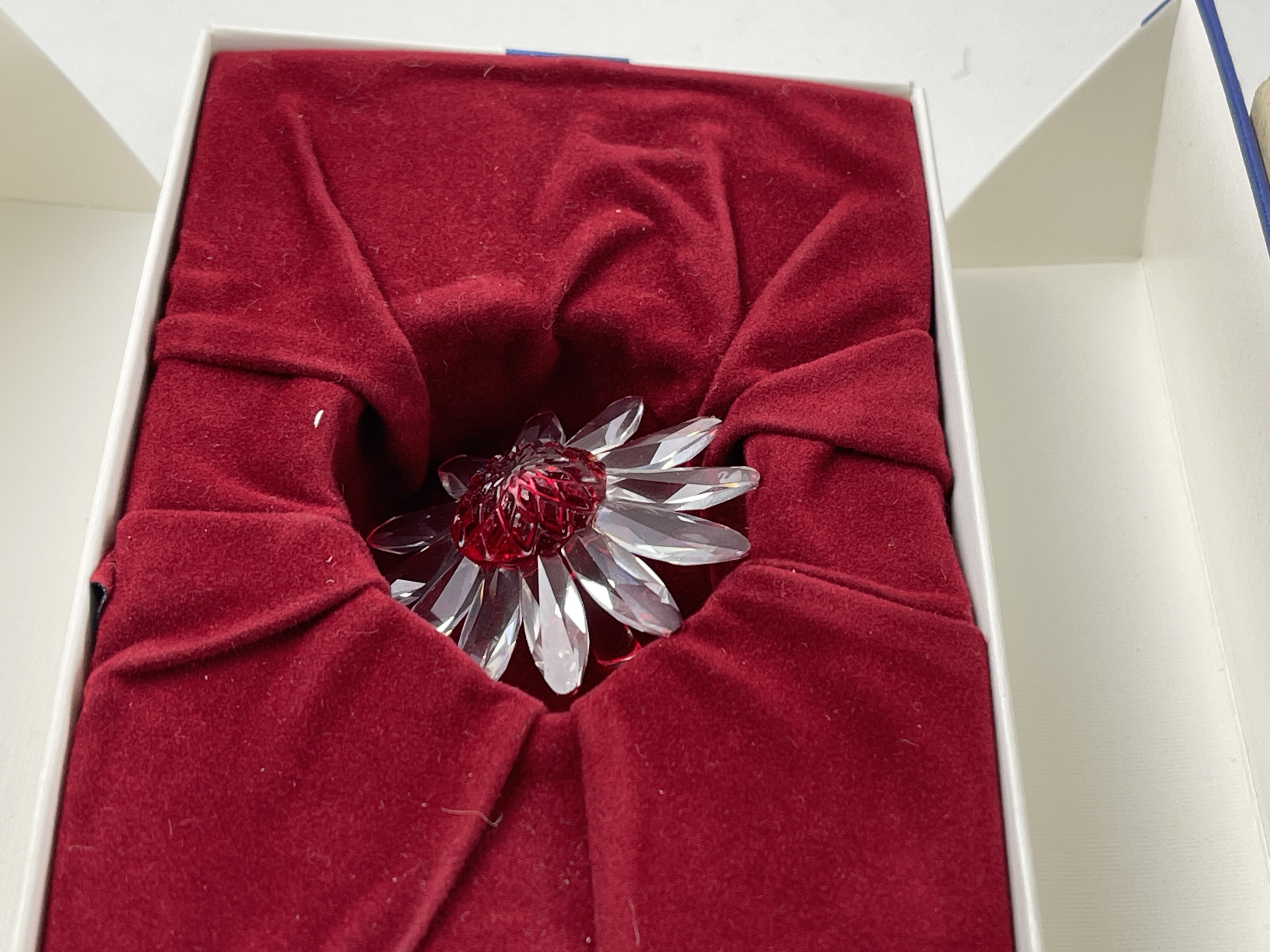 Swarovski Figur Blume - Margerite. Rot 5 cm. Ovp - Top Zustand.  