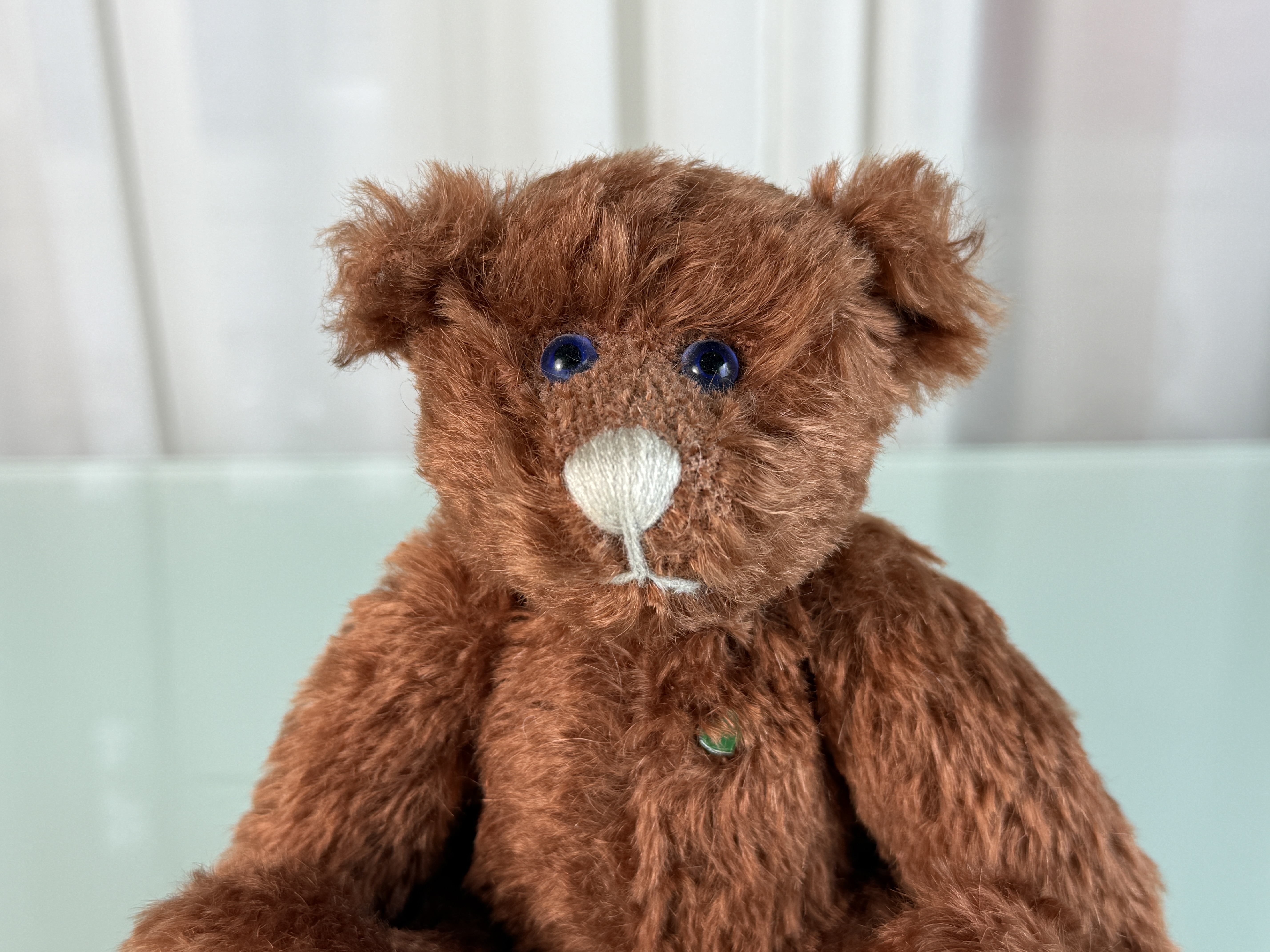 Künstlerbär Martin Bär Teddy Bär 22 cm Top Zustand