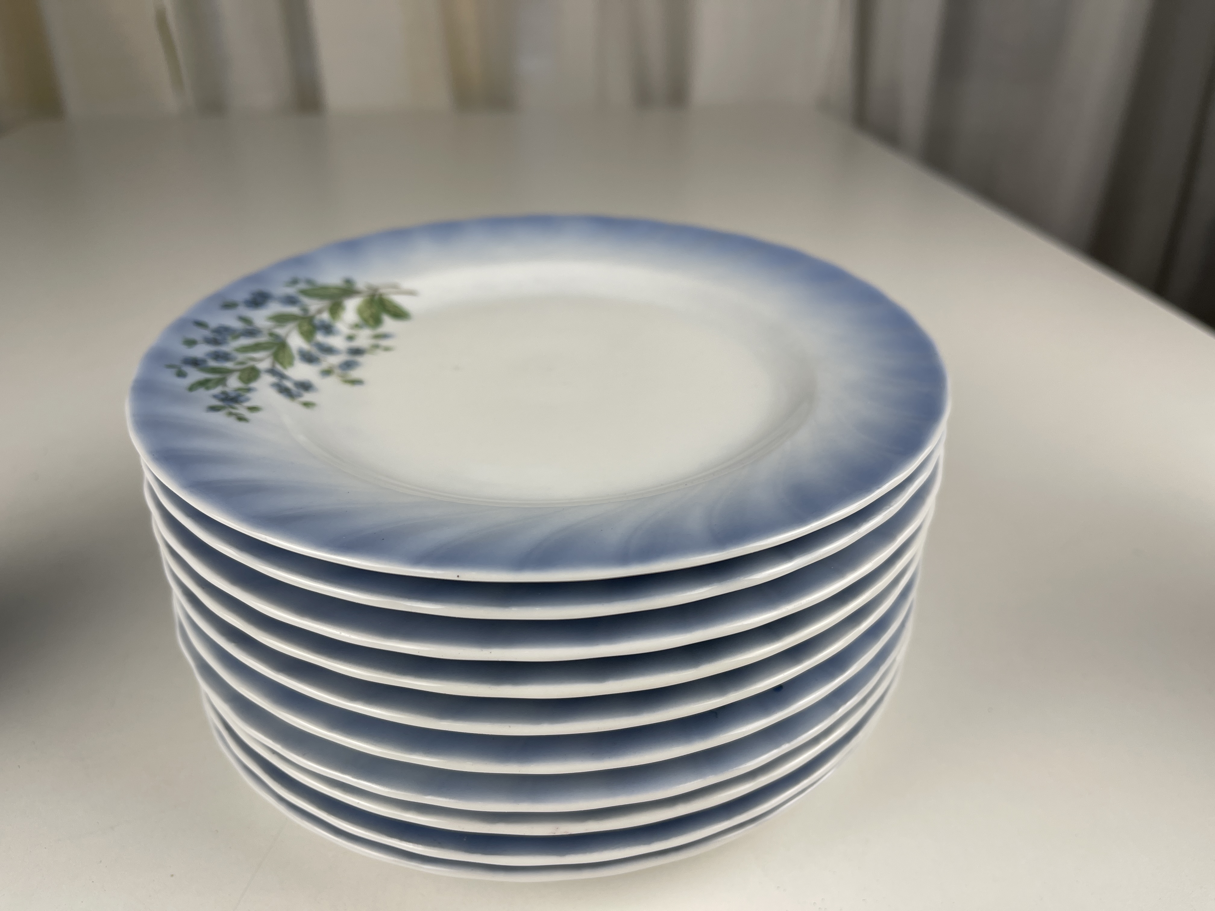 Christenholm Porzellan Teller 10 Stück je 17 cm. Top Zustand.   