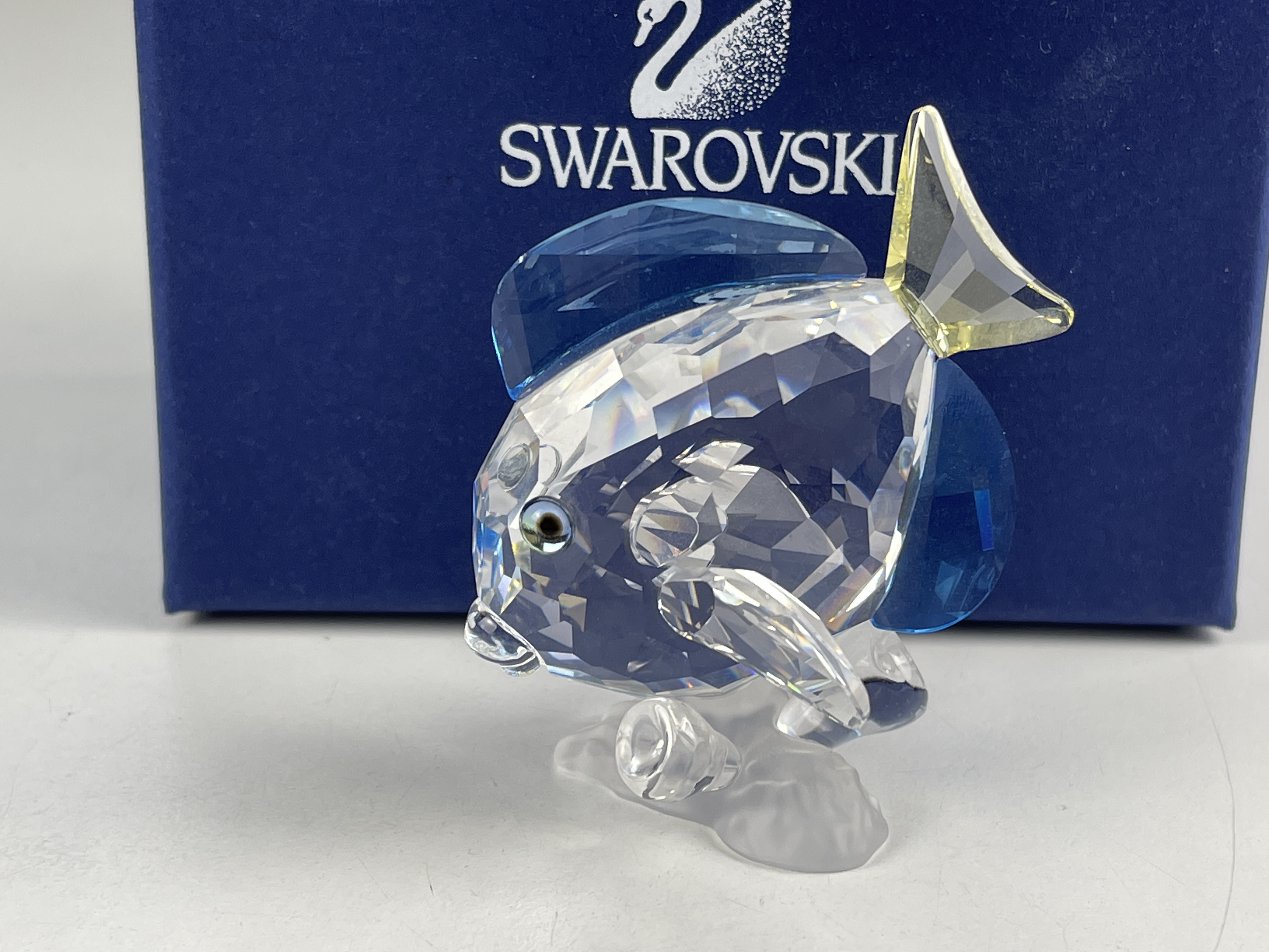 Swarovski Figur 886180 Doktorfisch Farbig 6 cm. Mit Kiste & Zertifikat.  Top Zustand 