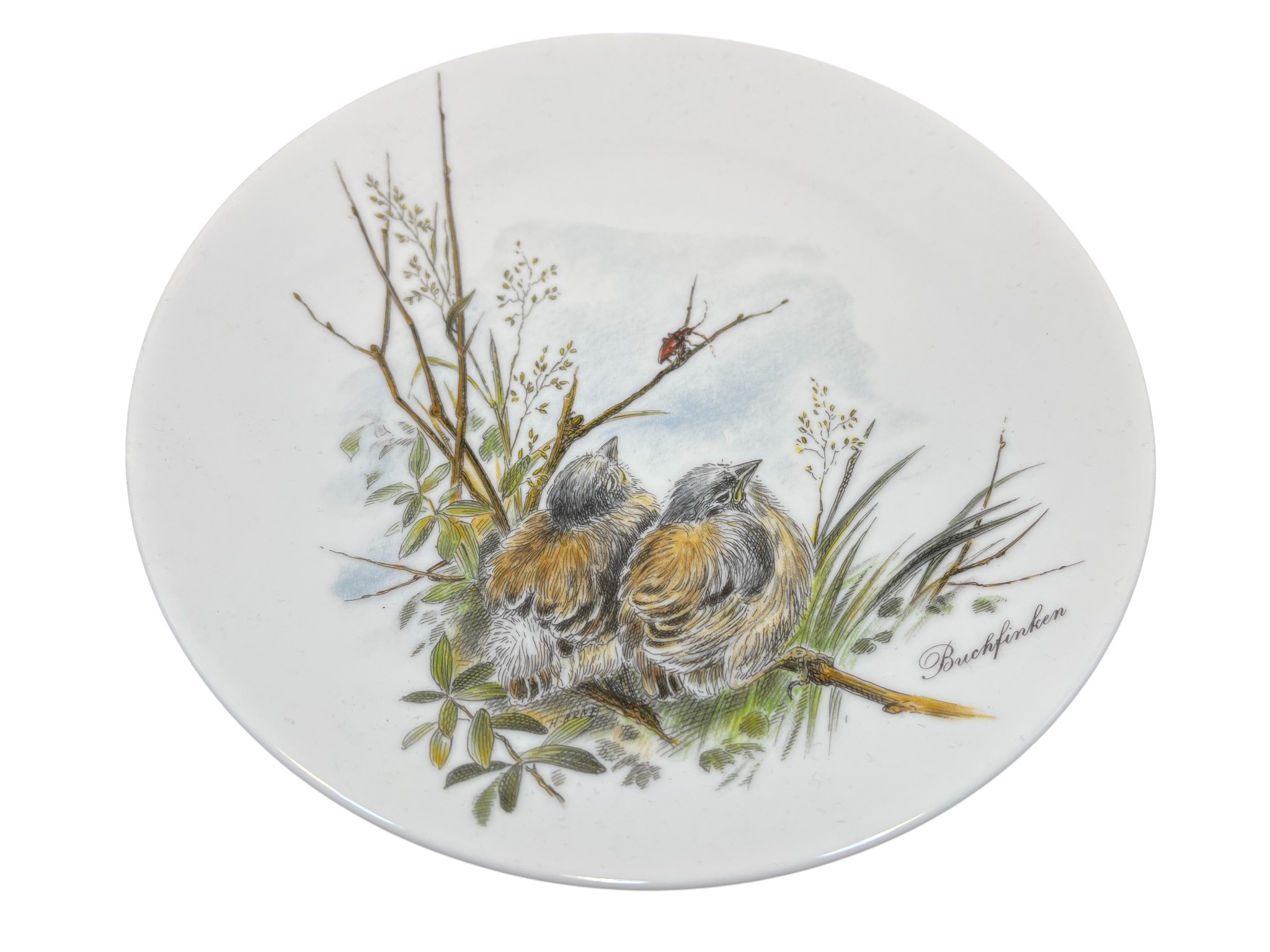 Kaiser Sammlerteller Porzellan Teller 19,5 cm Ø. 1 Wahl - Top Zustand   