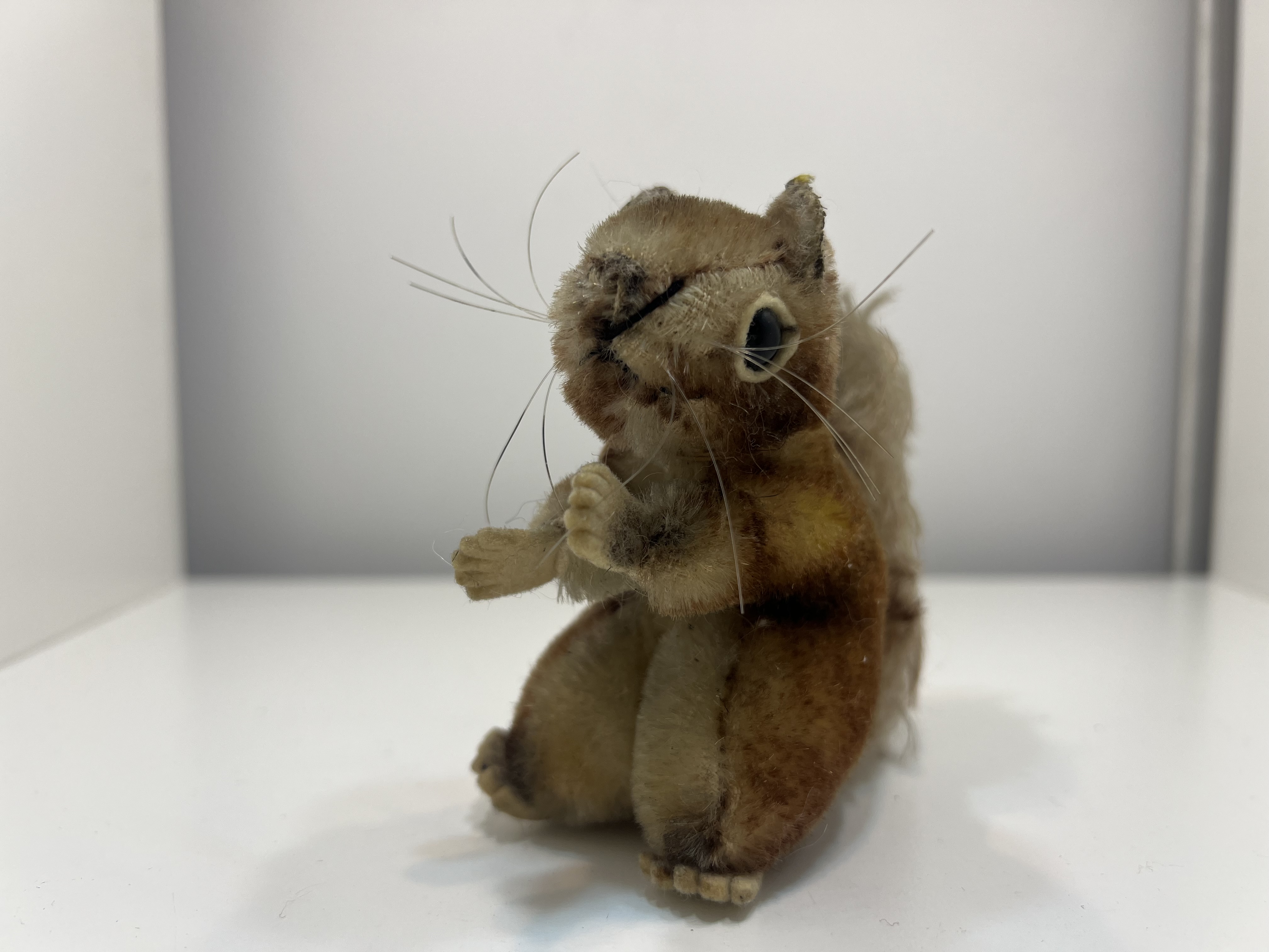 Steiff Tier Sammler Stofftier Eichhörnchen 9,5cm x 10cm Zustand siehe Fotos 