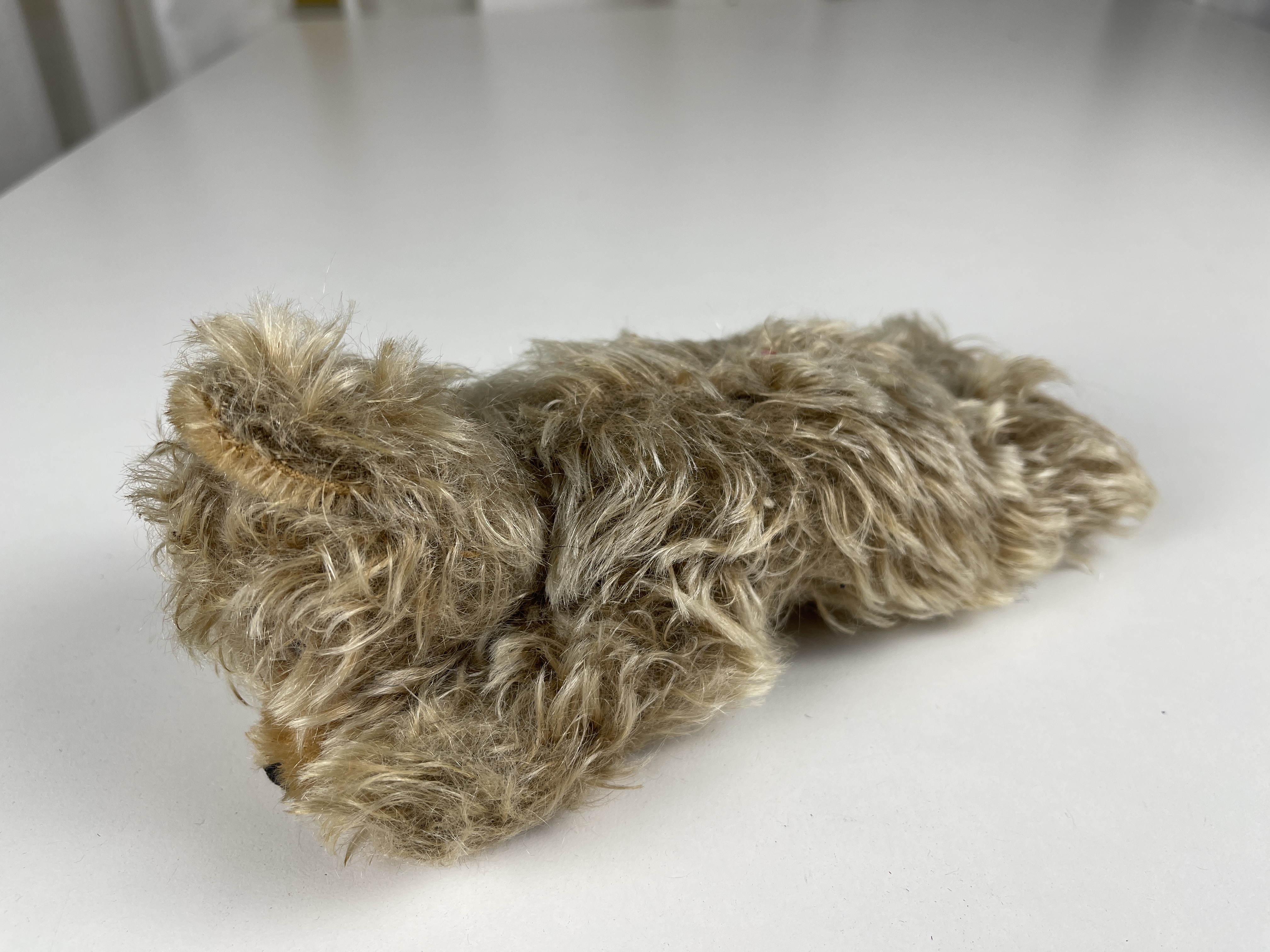 Alter Sammler Teddy Bär Künstlerbär 19 cm Zustand Siehe Fotos     