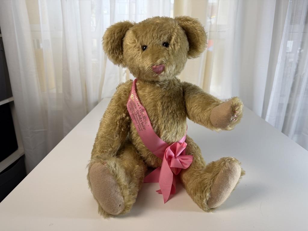 Sammler Teddy Bär Künstlerbär 48 cm Top Zustand Siehe Fotos