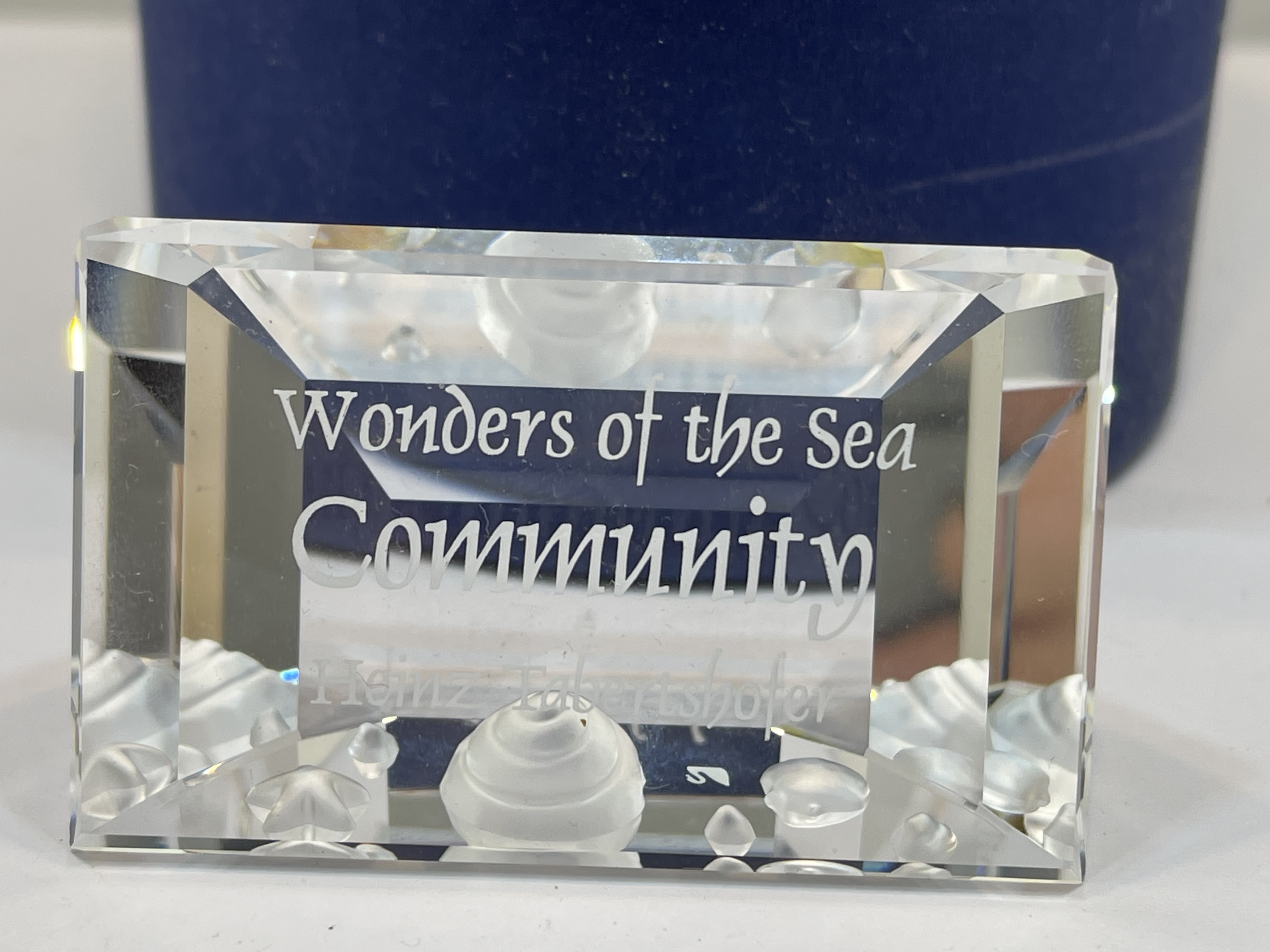 Swarovski Figur 898130 Schild Community. Mit OVP + Zertifikat. Top Zustand