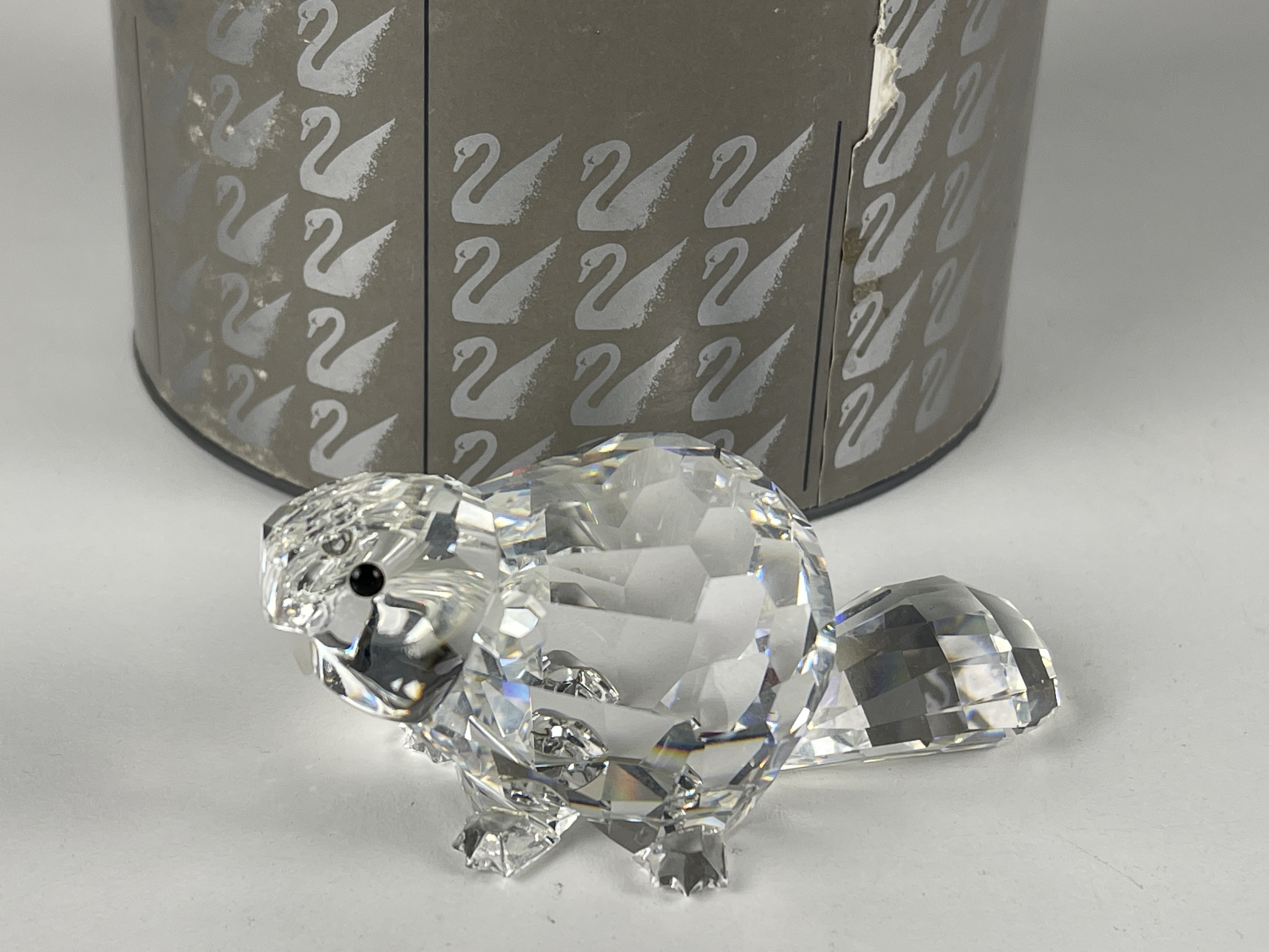  Swarovski Figur 164637 Großer Biber 8 cm. Ovp & Zertifikat. Top Zustand