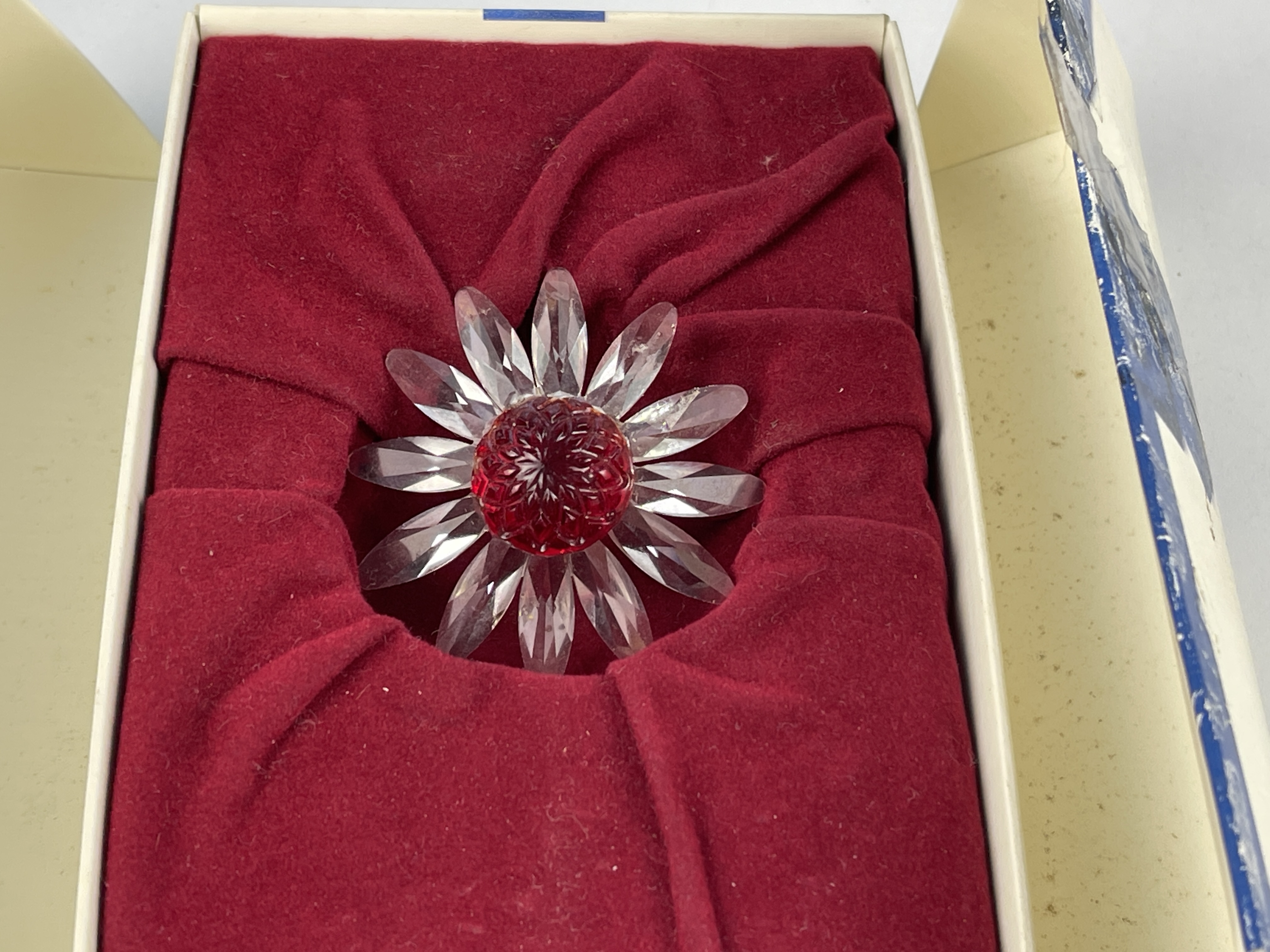 Swarovski Figur Blume - Margerite. Rot 5 cm. Ovp - leicht verschmutzt 