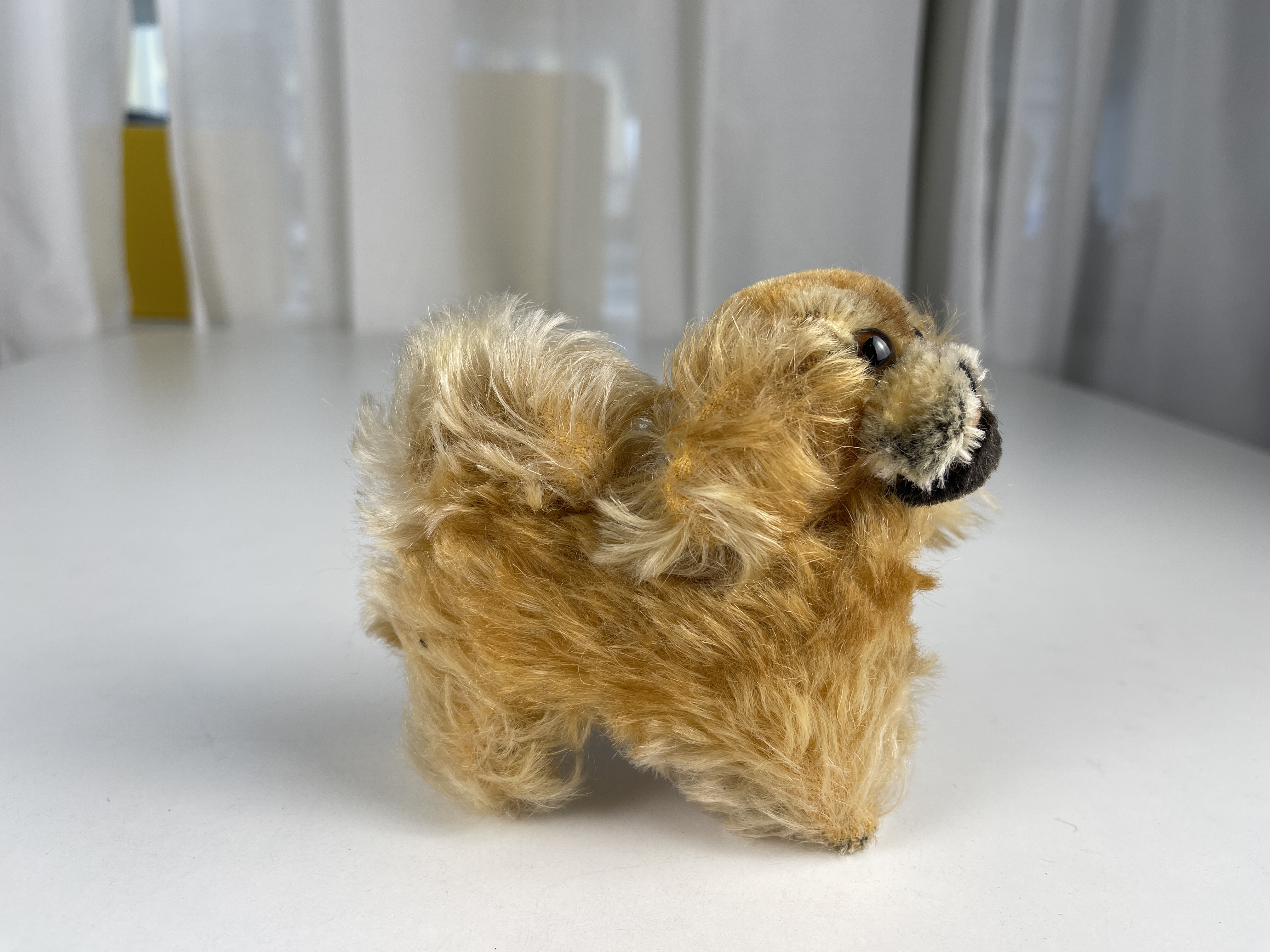 Steiff Tier Hund Pekinese 11 cm. Top Zustand  