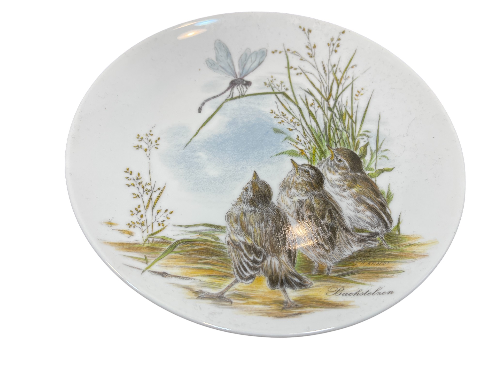 Kaiser Sammlerteller Porzellan Teller 19,5 cm Ø. 1 Wahl - Top Zustand   