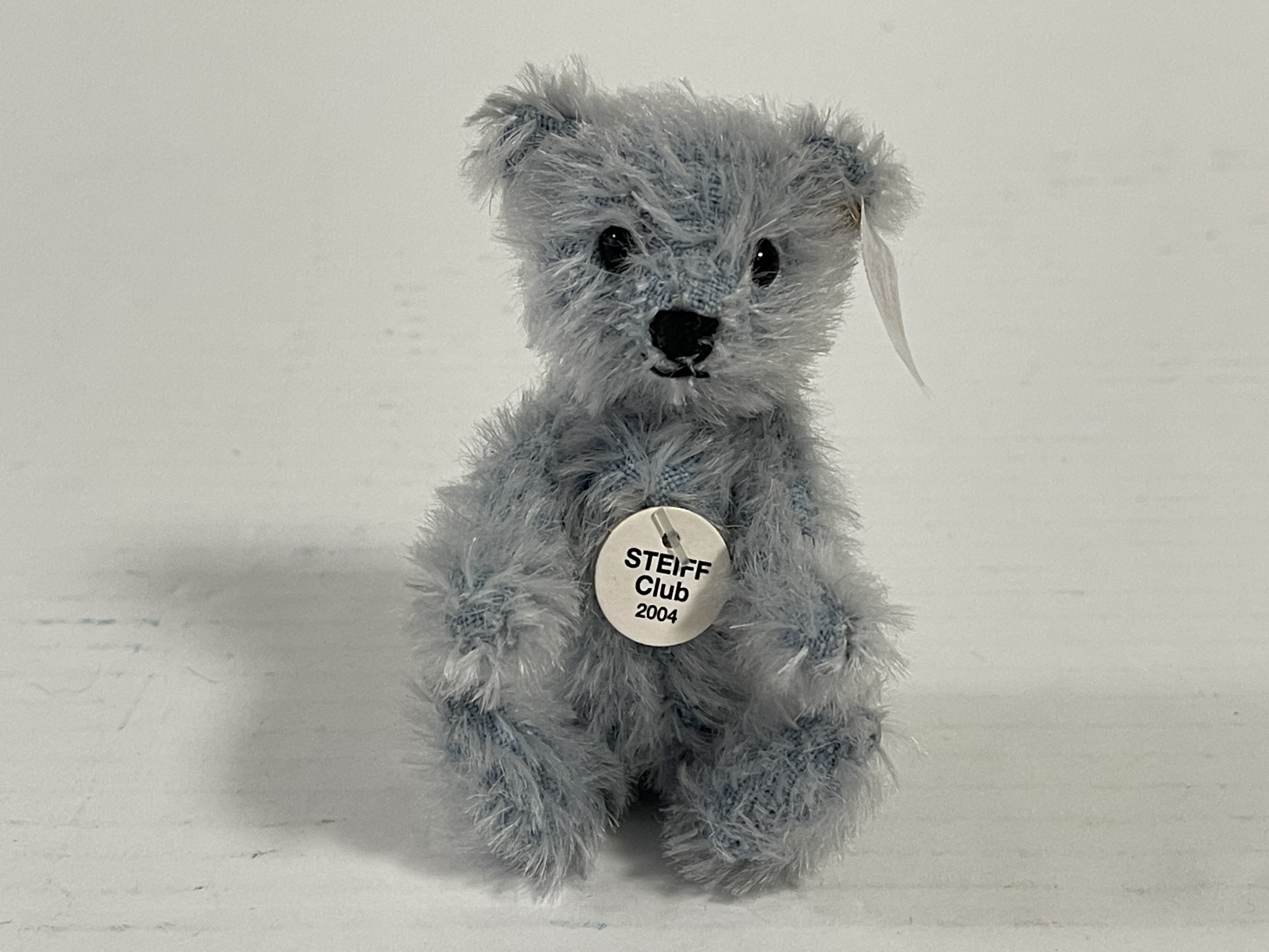 Steiff Club Teddy Bär 2004. Top Zustand    