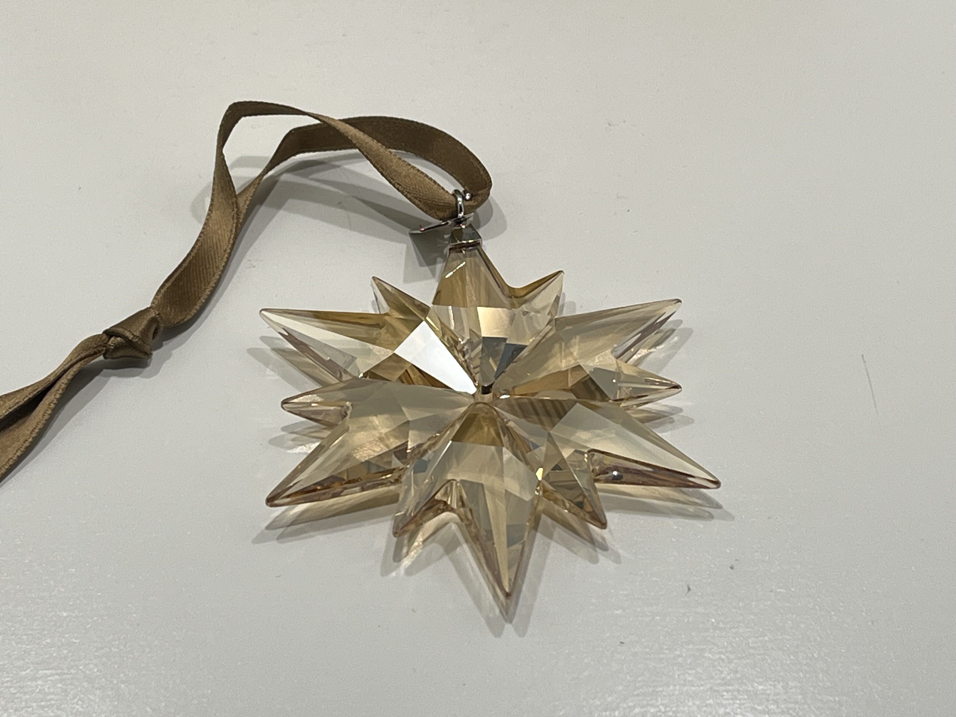 ungiftig zimmerpflanzen Tierfreundliches Pflanzset Zimmerpflanze 12cm kaufen