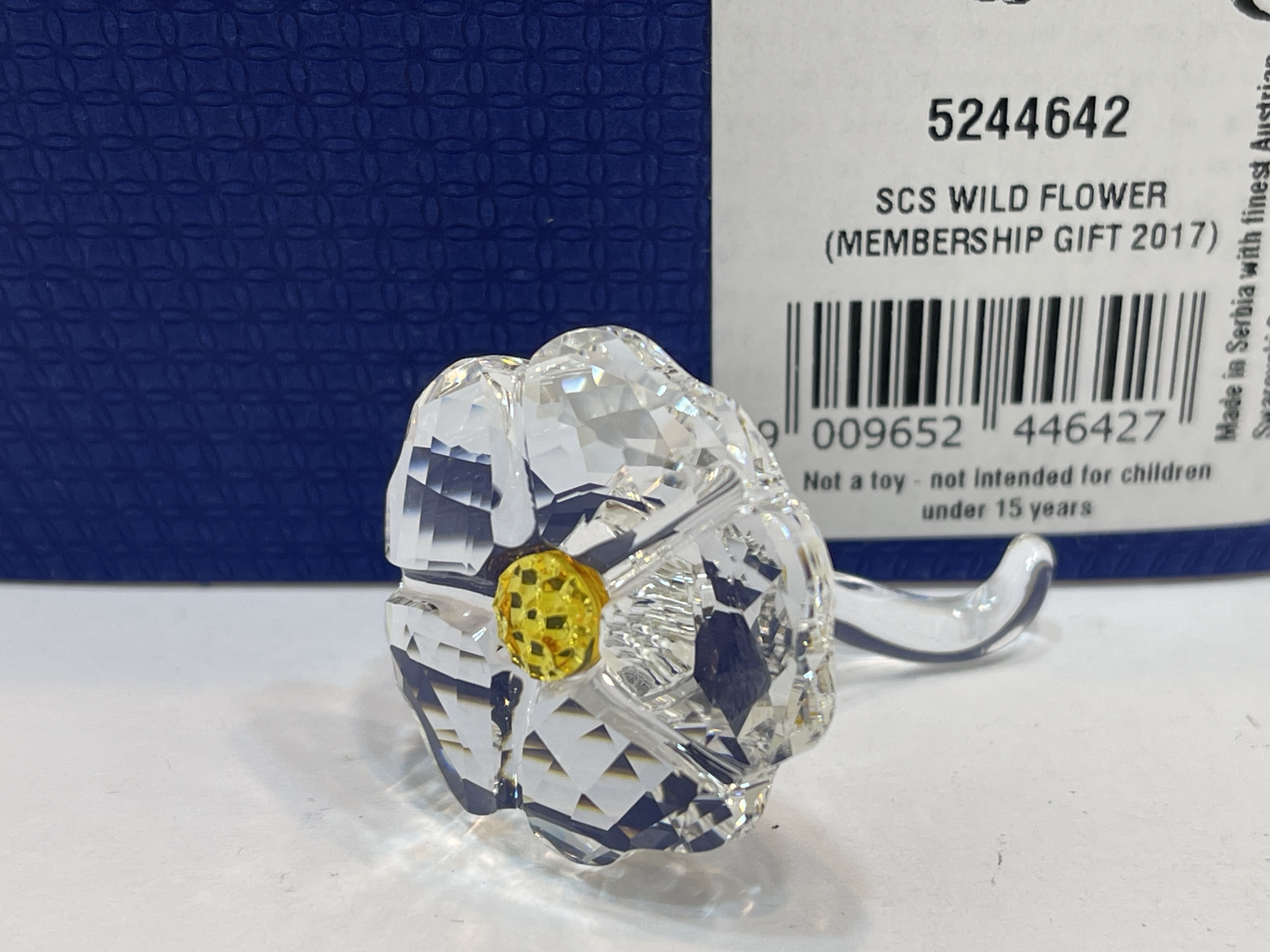 Swarovski Figur 5244642 SCS WildBlume. Ovp & Zertifikat 