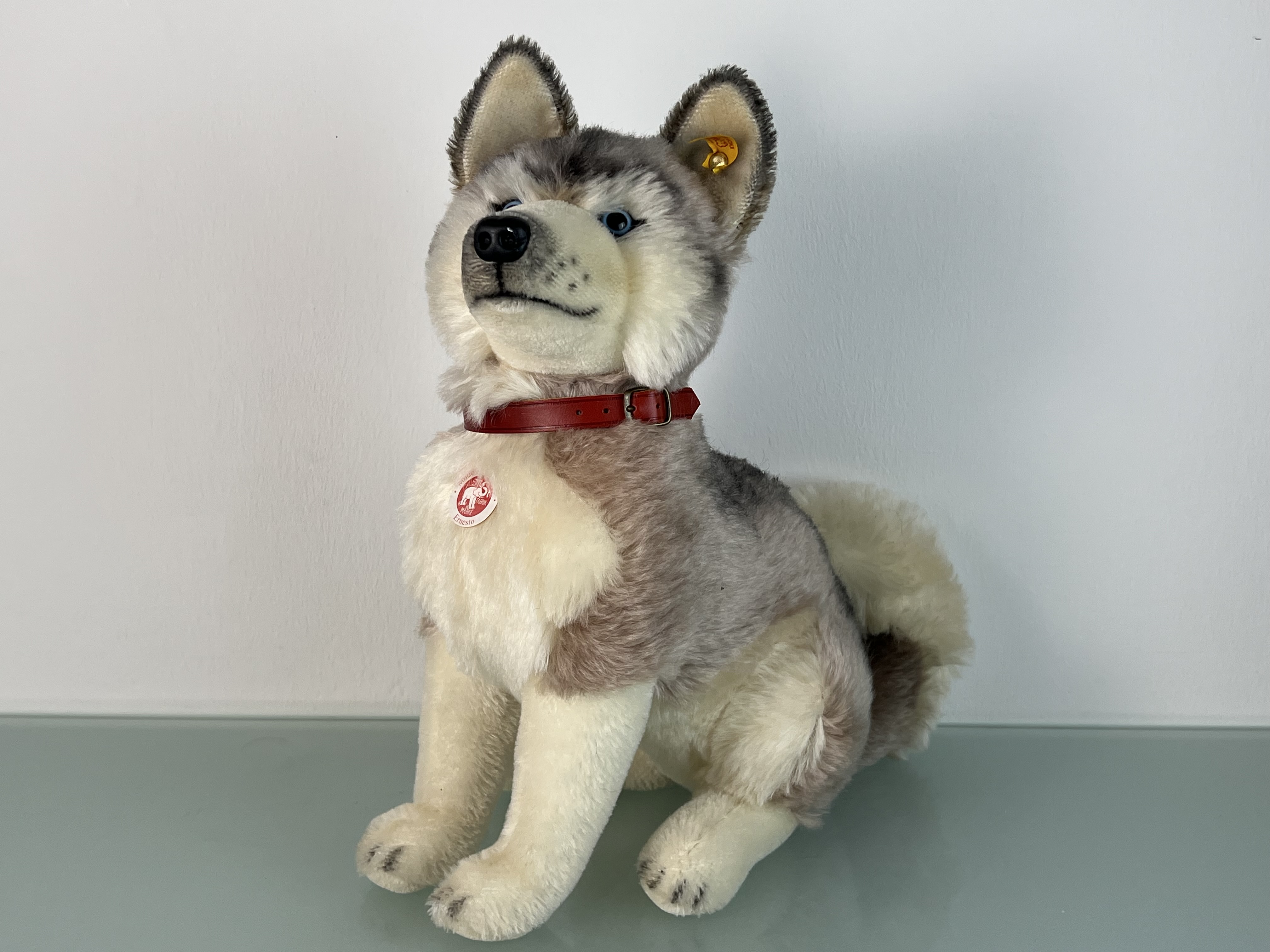 Steiff Tier 079702 Ernesto Husky 35,5 cm Hoch / 26 cm Lang. Top Zustand  