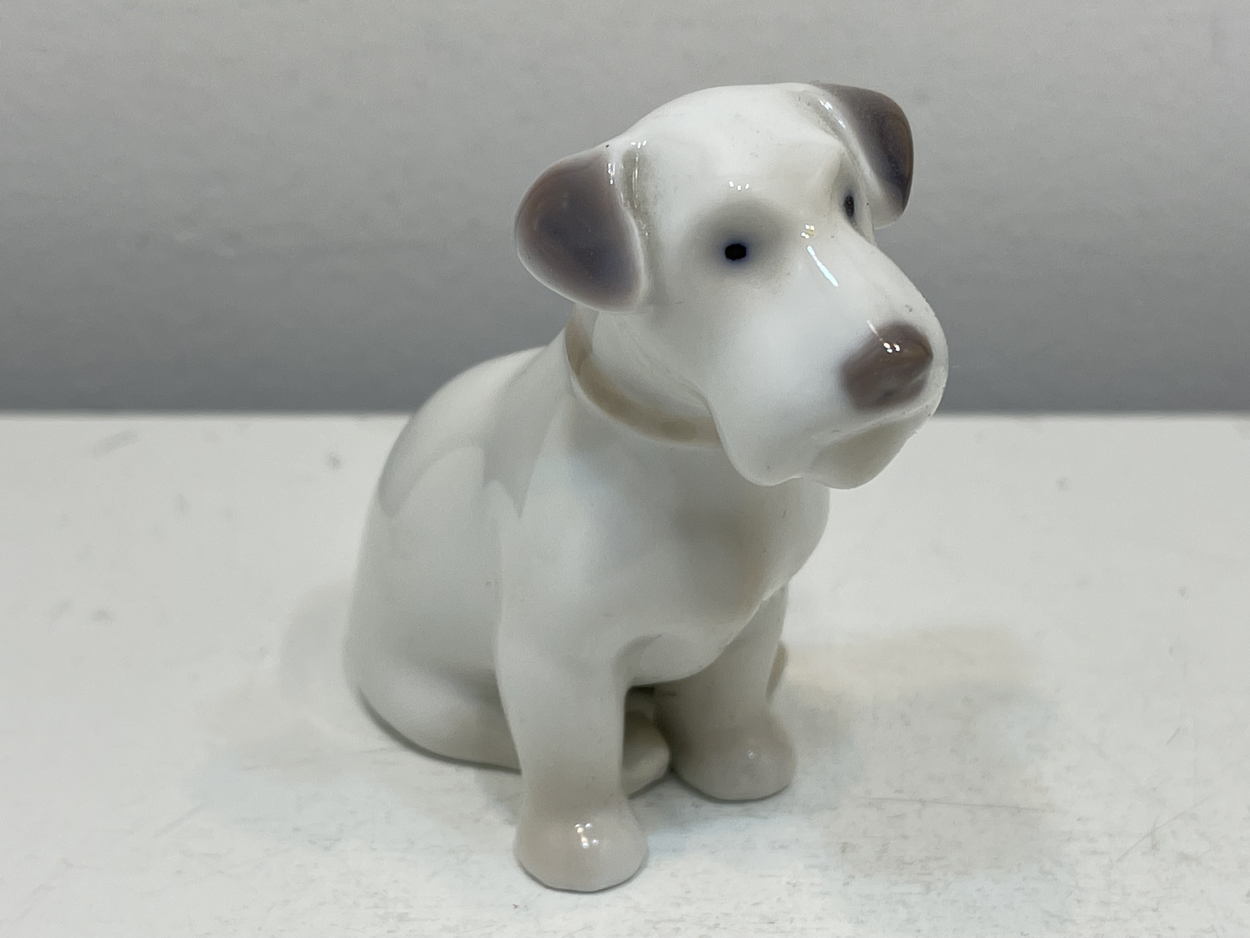 Porzellan Sammler Figur Hund 6,5 cm. - Top Zustand   