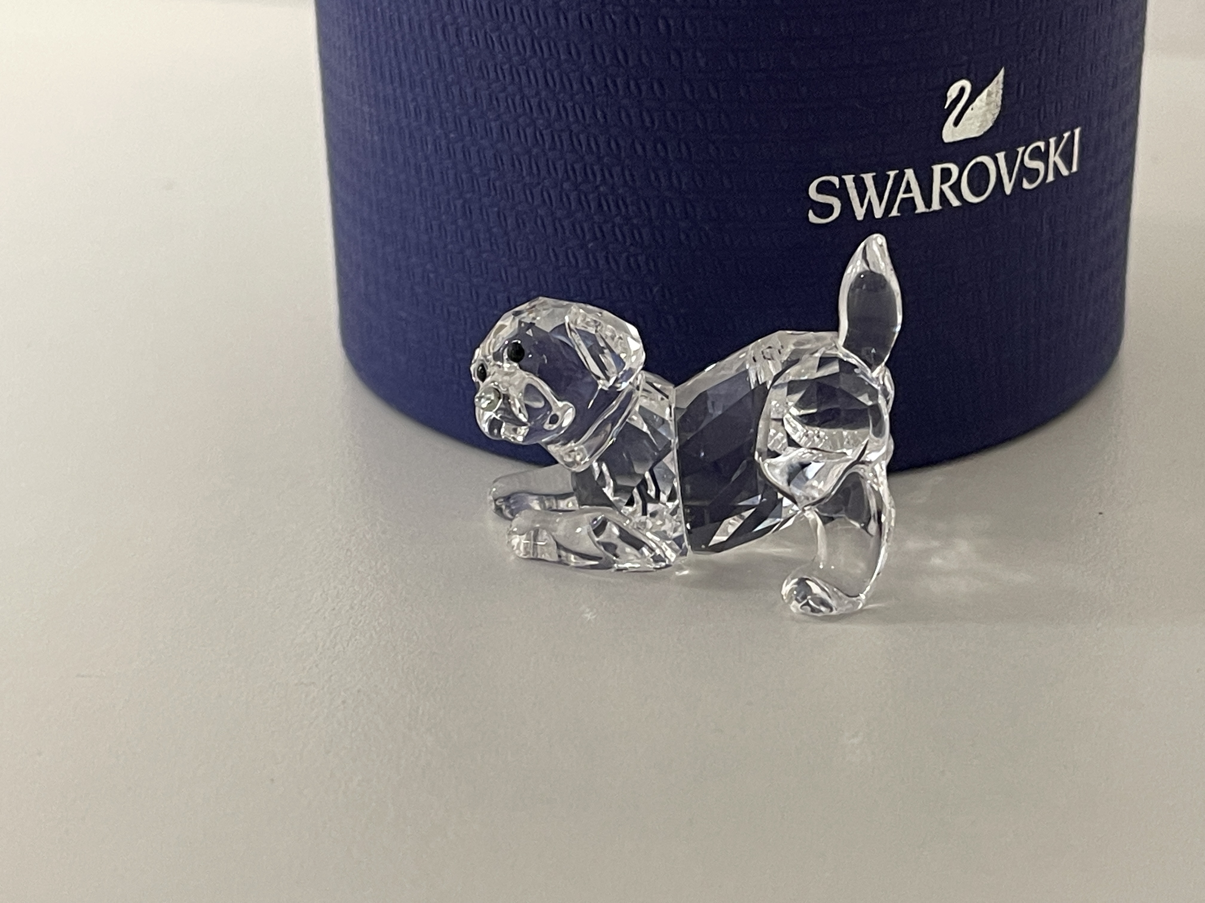  Swarovski Figur 5408608  Labrador 4 cm. Ovp & Zertifikat - Top Zustand