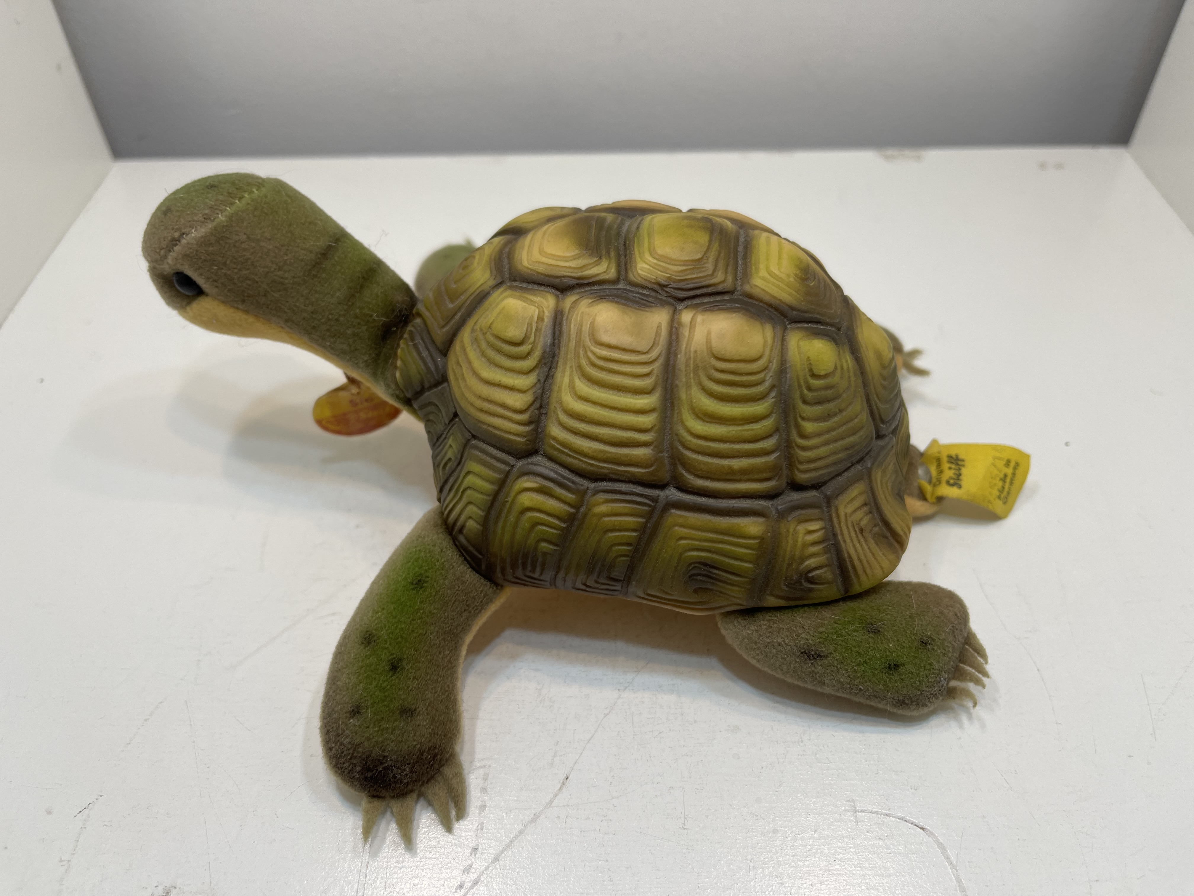 Steiff Tier 2455/14 Schildkröte 10 x 14 cm - Top Zustand 