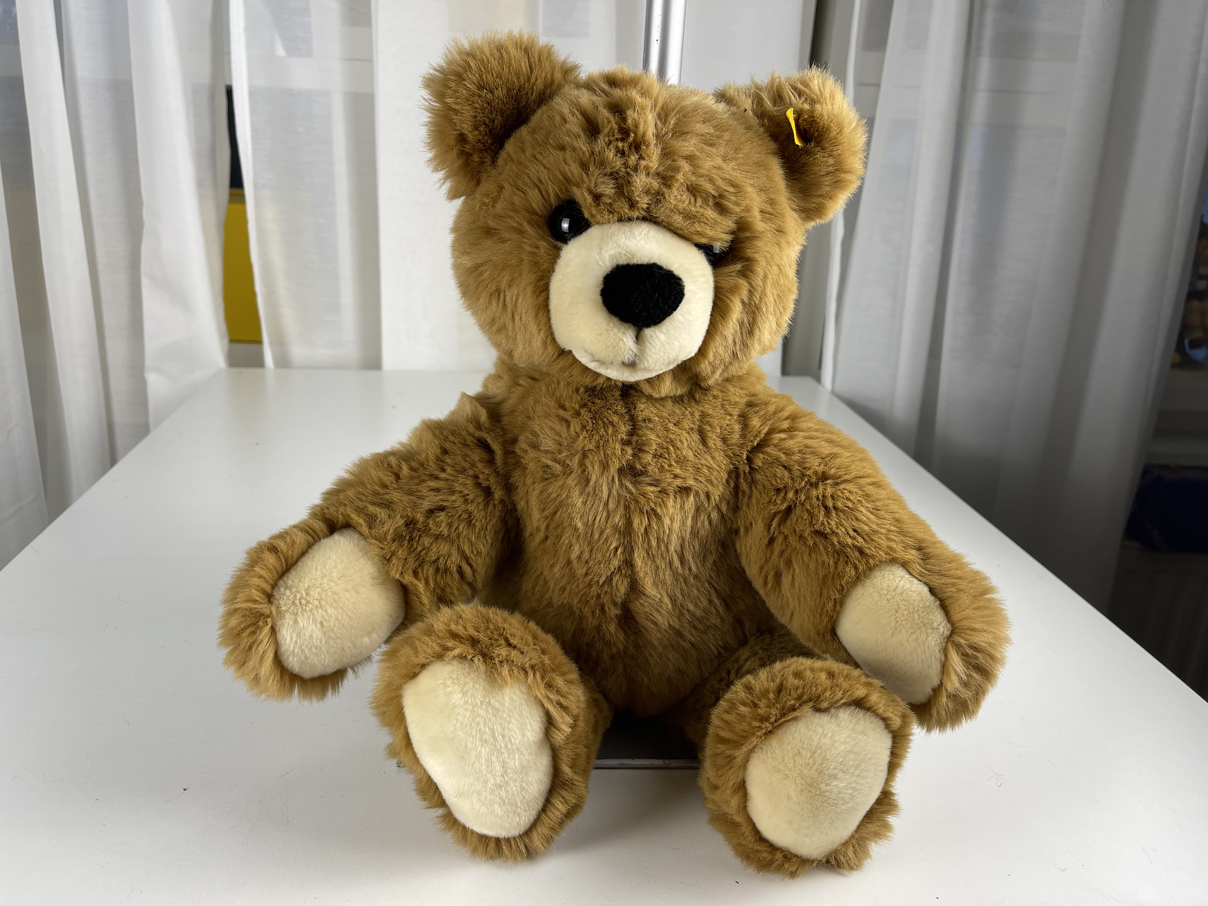 Steiff Tier Teddy Bär 019982 Molly 45 cm - Top Zustand     