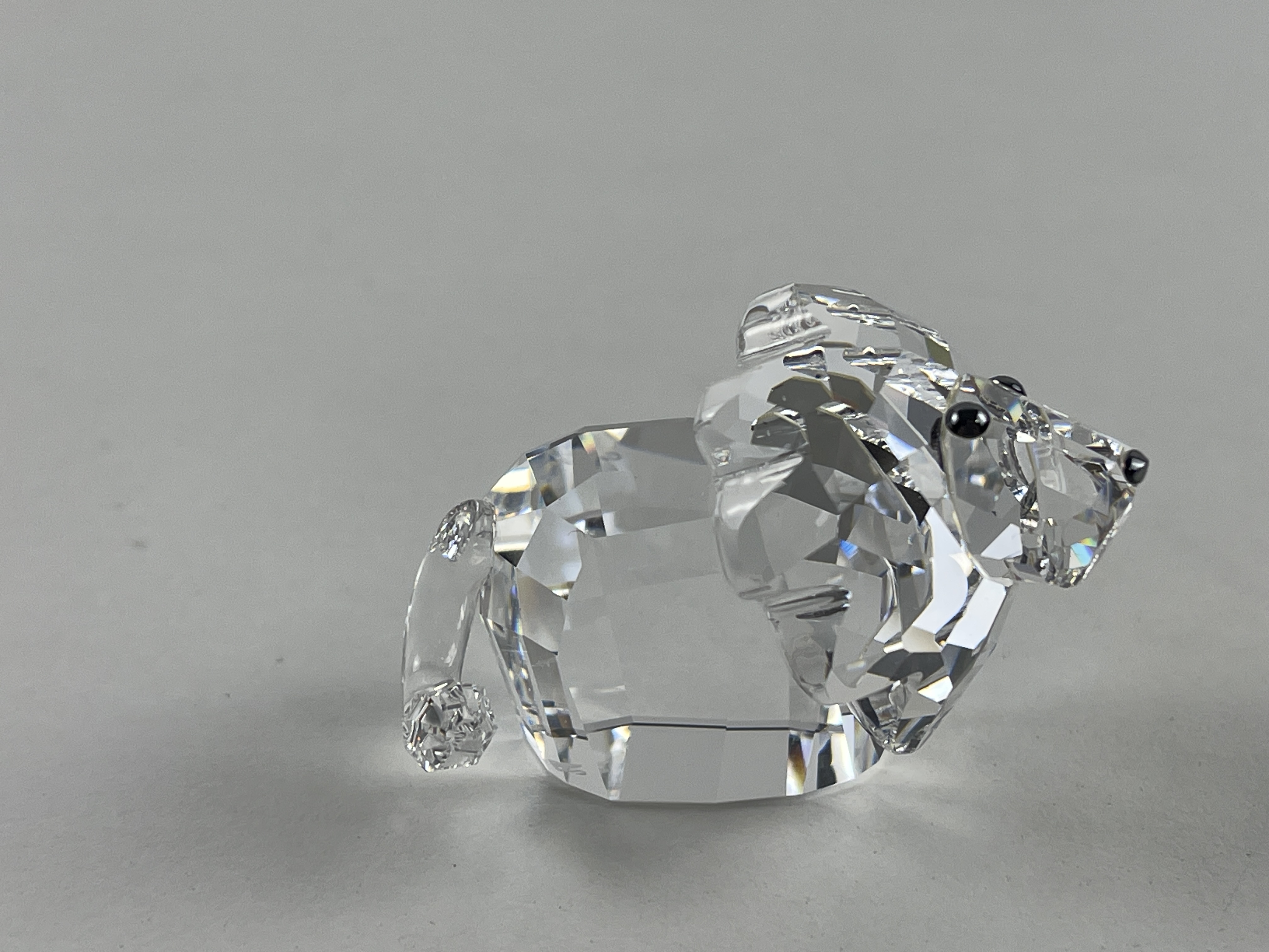Swarovski Figur 887731 Löwe Lee Roy 5,5 cm Top Zustand