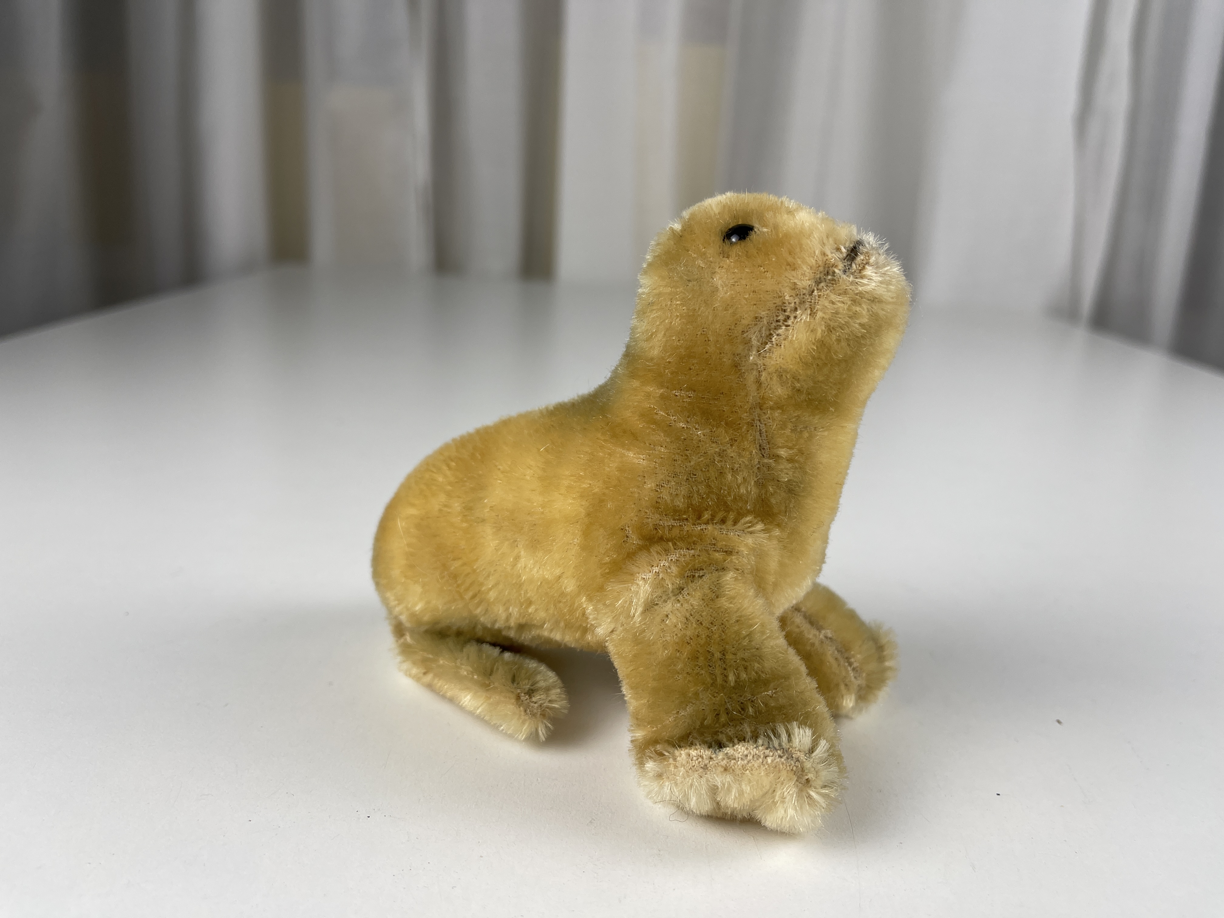 Steiff Tier Robbe Robby 11 cm - Top Zustand  