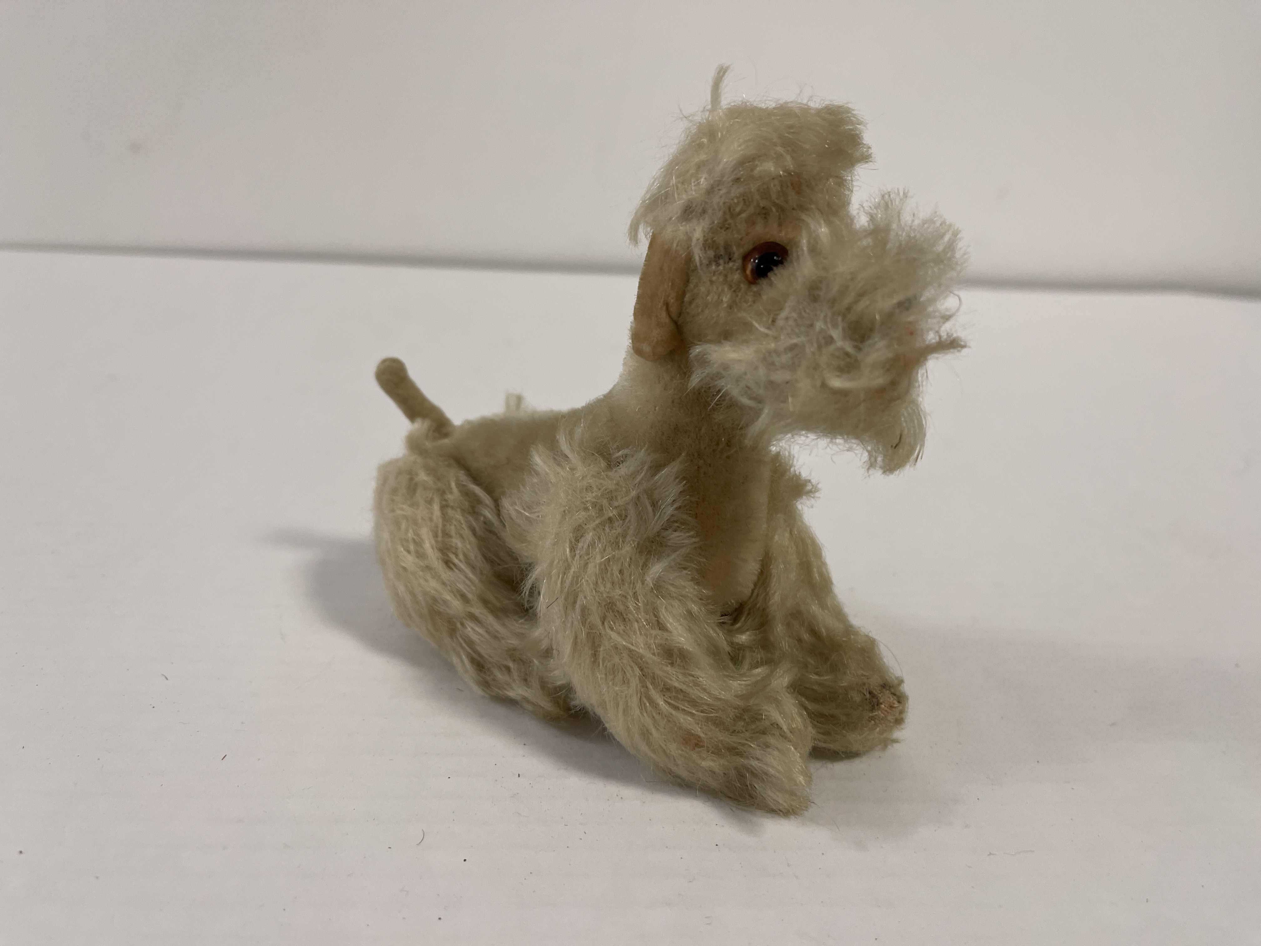 Steiff Tier Hund Pudel Snobby 14 cm Zustand siehe Fotos   