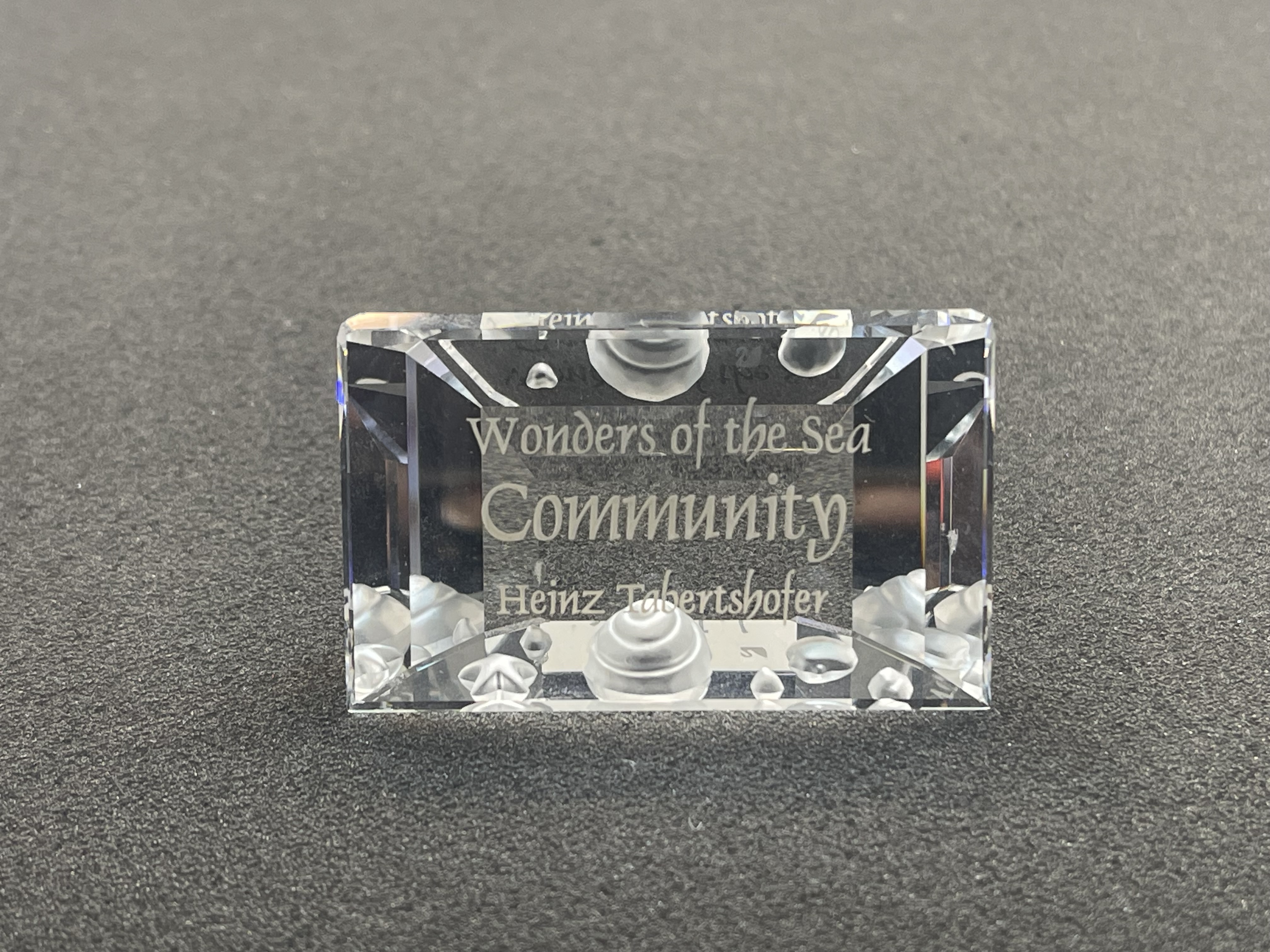 Swarovski Figur 898130 Schild Community. Top Zustand  