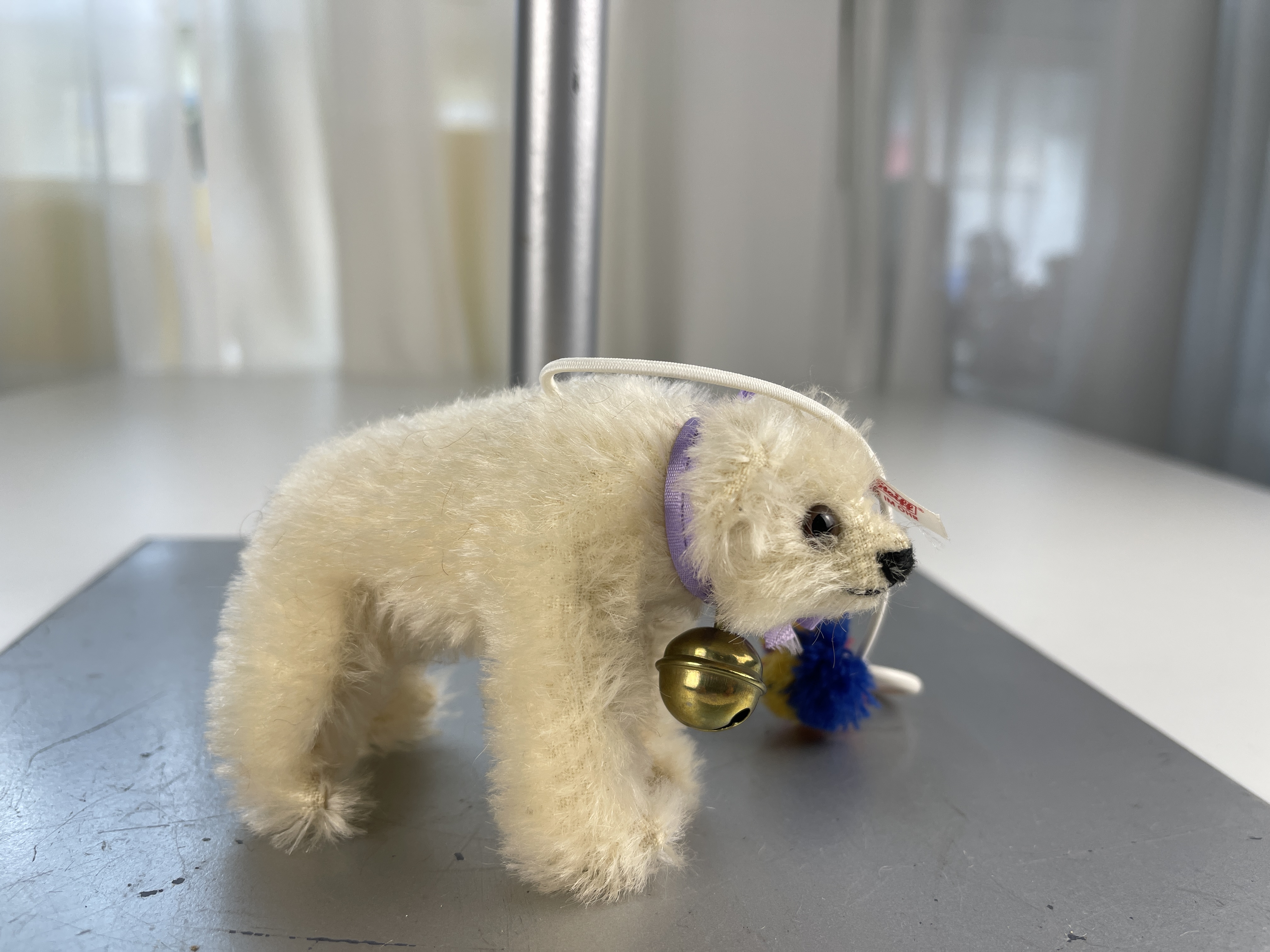 Steiff Club Polarbär Eisbär Top Zustand  