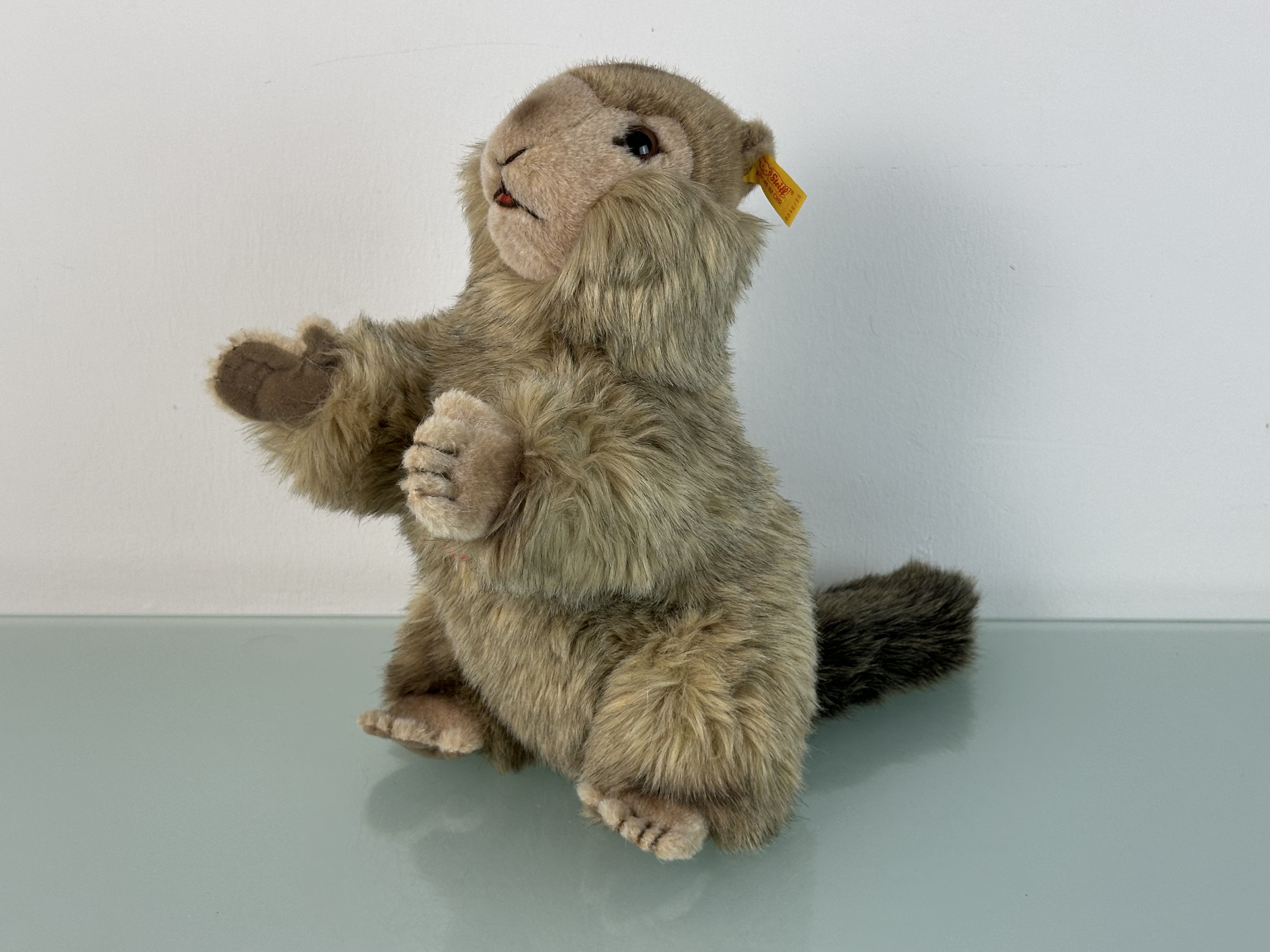 Steiff Tier 0346/30  Molly Piff Murmeltier 40 cm - Top Zustand