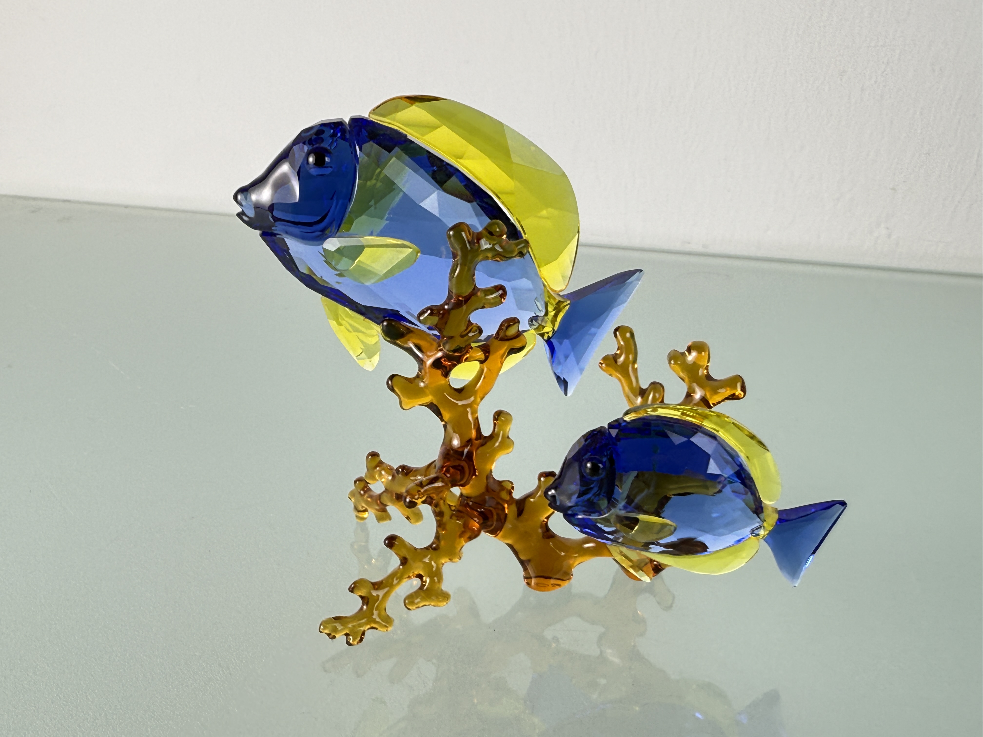 Swarovski Figur 5223194 Doktorfische 12,5 cm Top Zustand