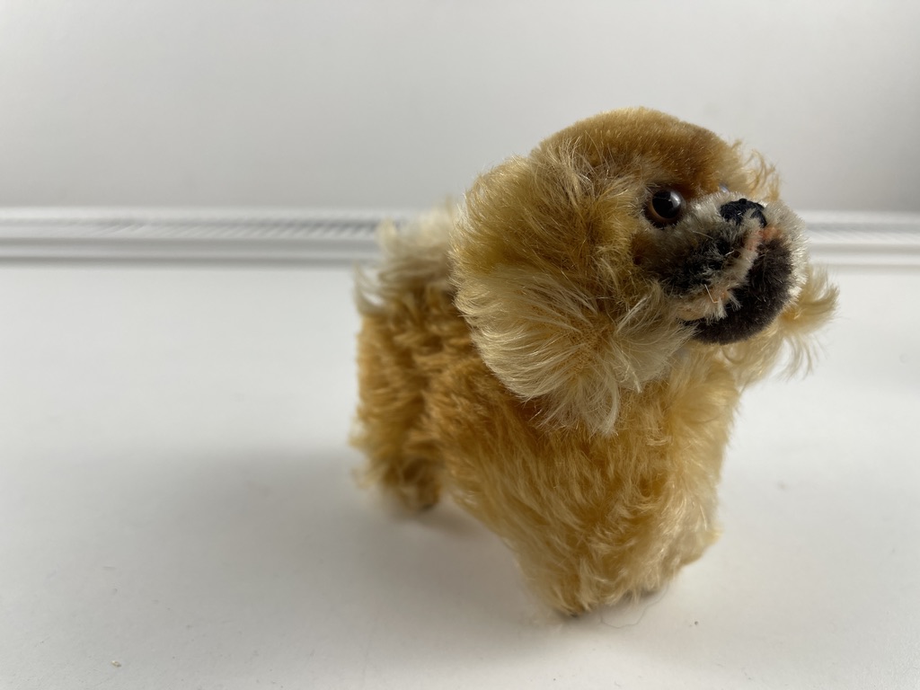 Steiff Tier Hund Pekinese 10 cm. Zustand siehe Fotos