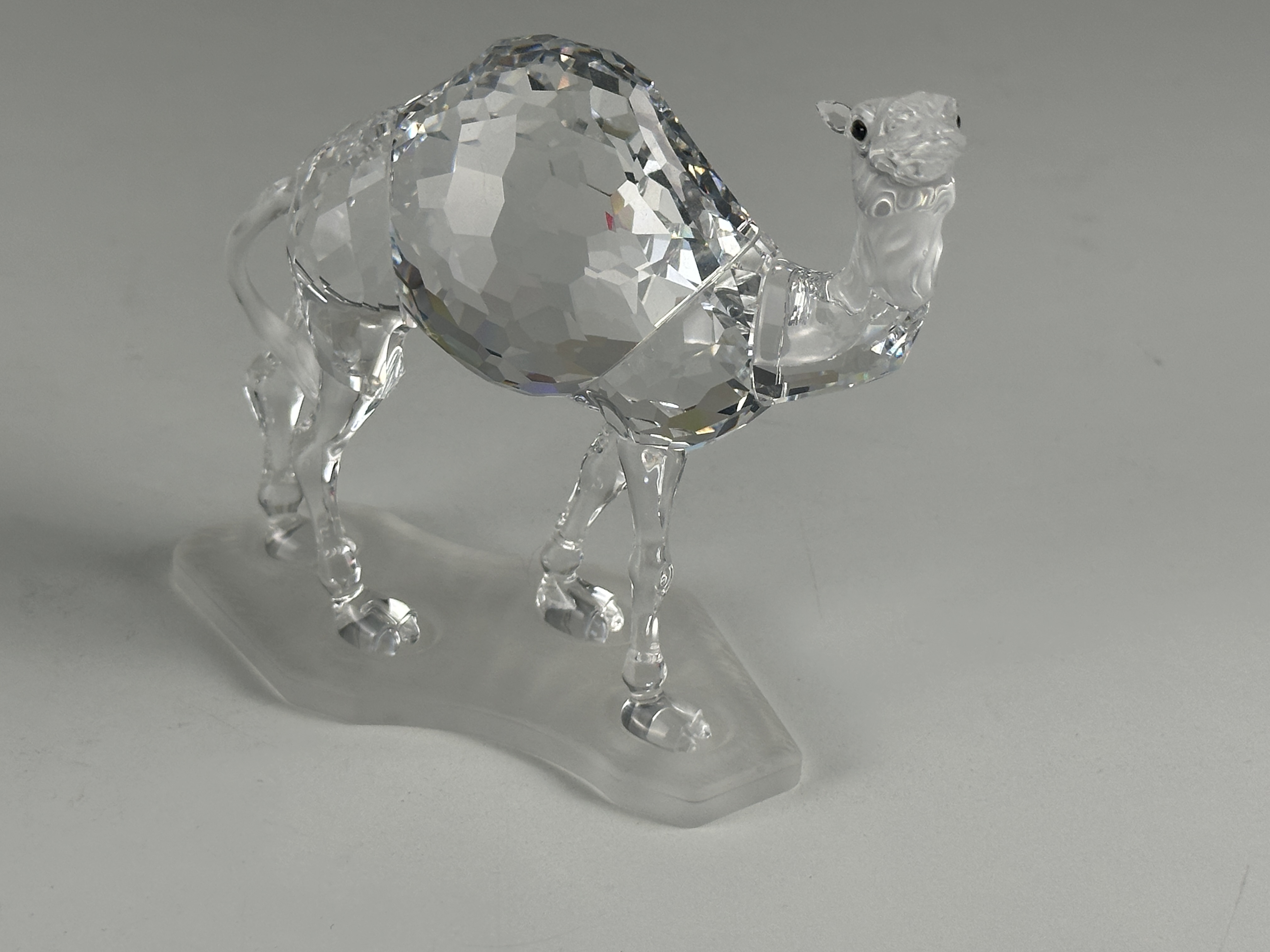 Swarovski Figur 247683 Großes Kamel 12 cm. Zustand siehe Fotos