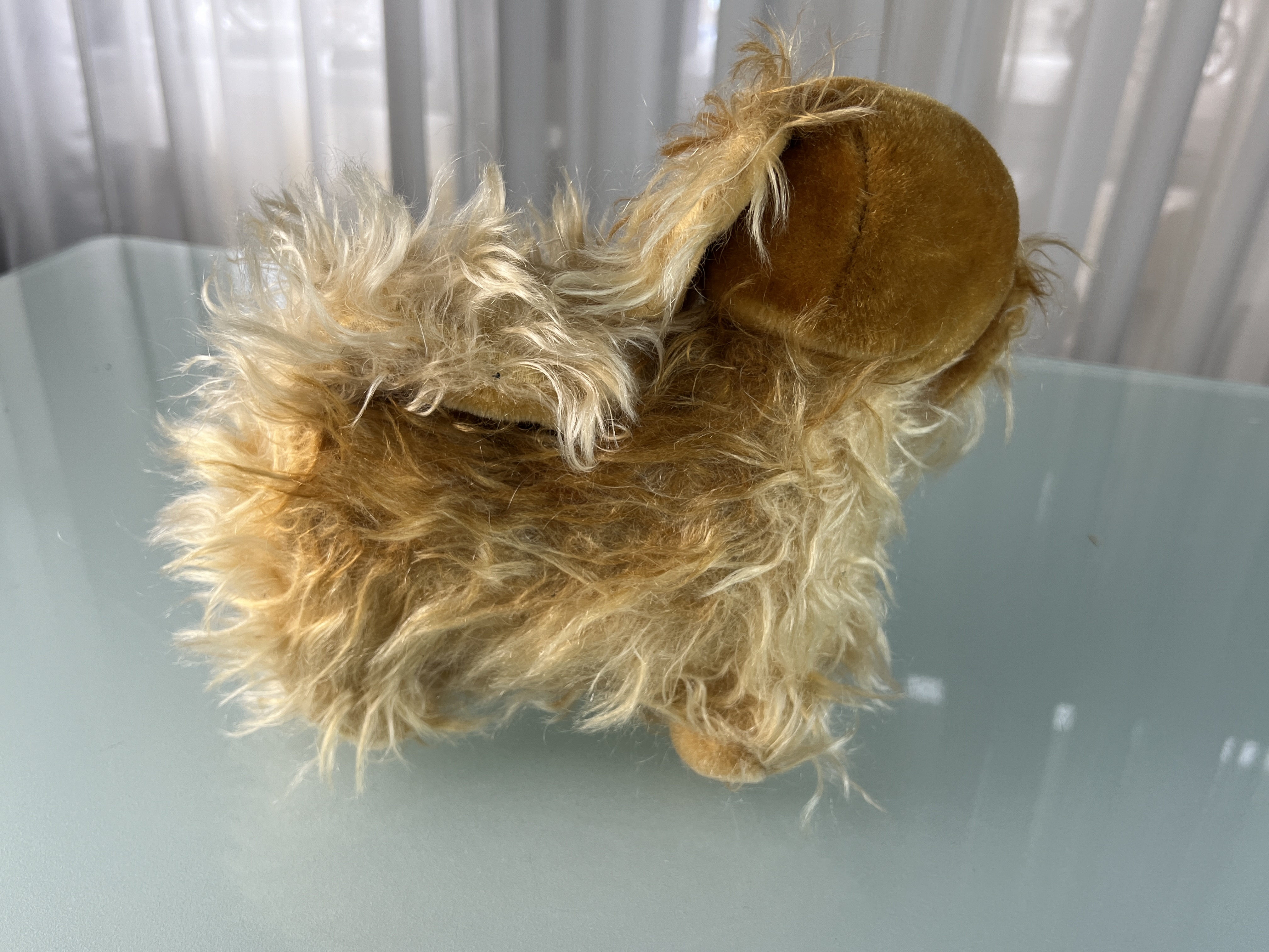 Steiff Tier Sammler Stofftier Hund Pekinese 21 x 25 cm. Top Zustand 