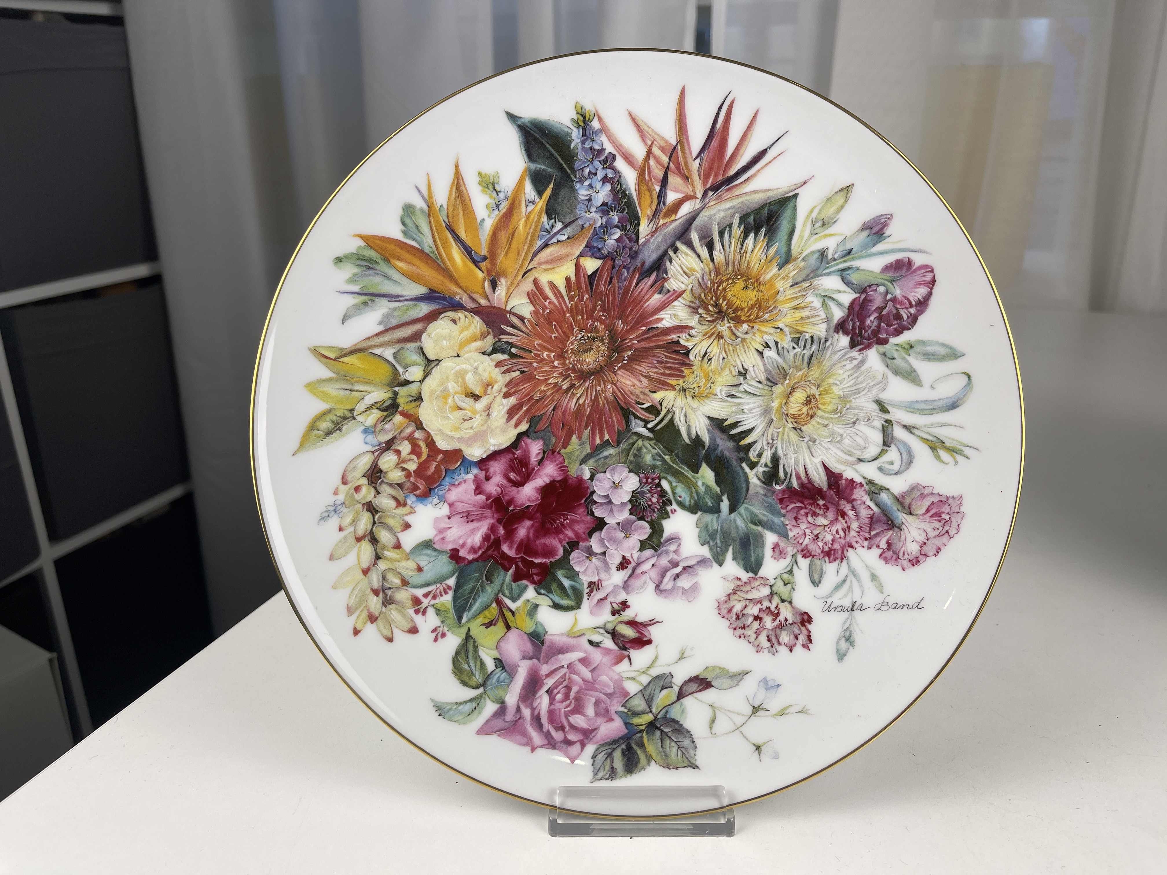 Hutschenreuther Porzellan Teller 25,5 cm Ø Top Zustand   