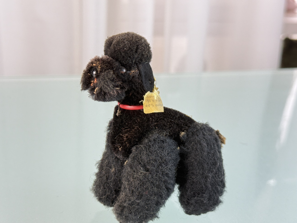 エピヌ é animal knit poodle 07CB434A-5395-4DB1-8A85-