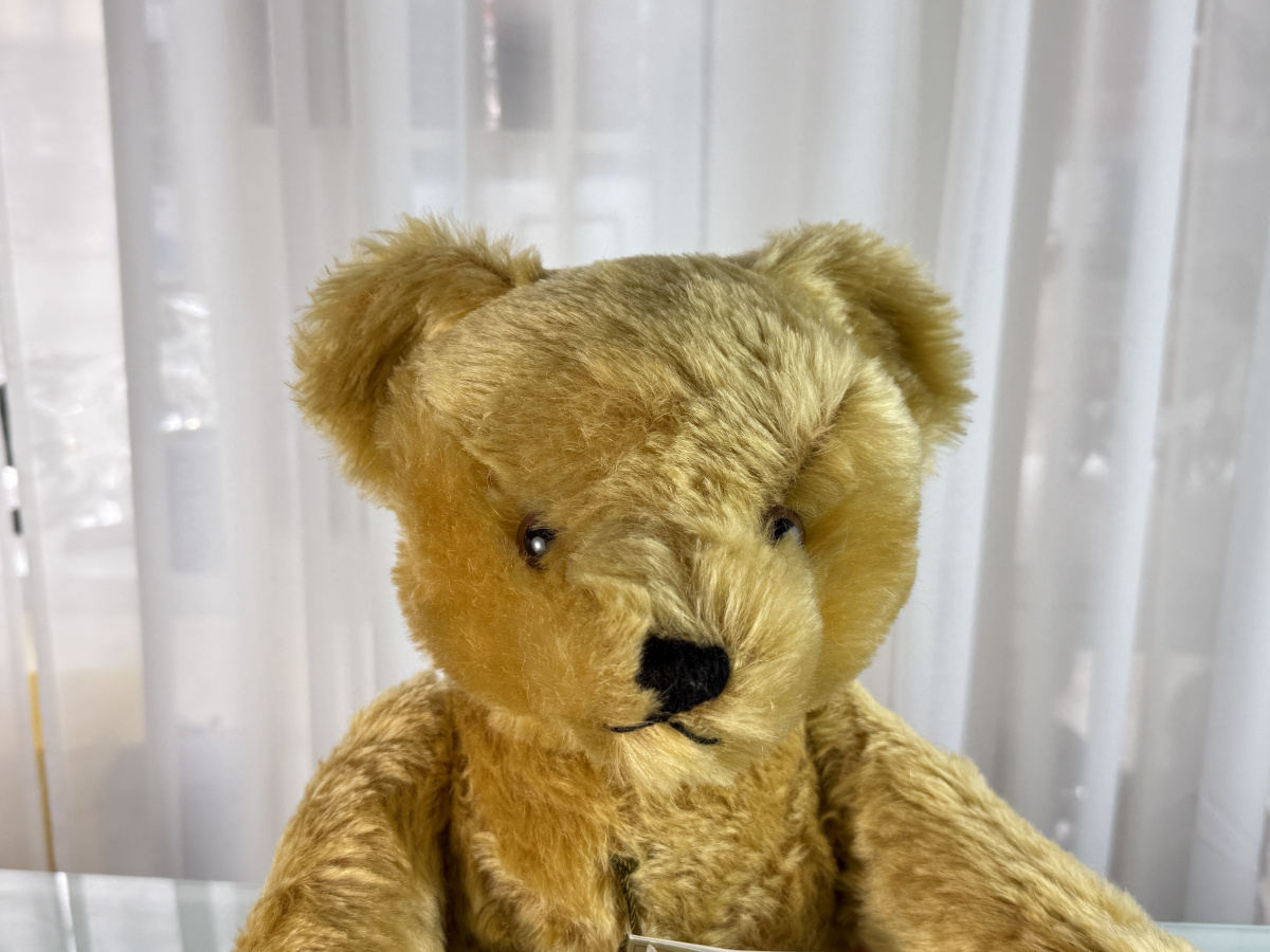 Hermann Teddy Bear 17 11/16in Nichtraucherhaushalt. Top
