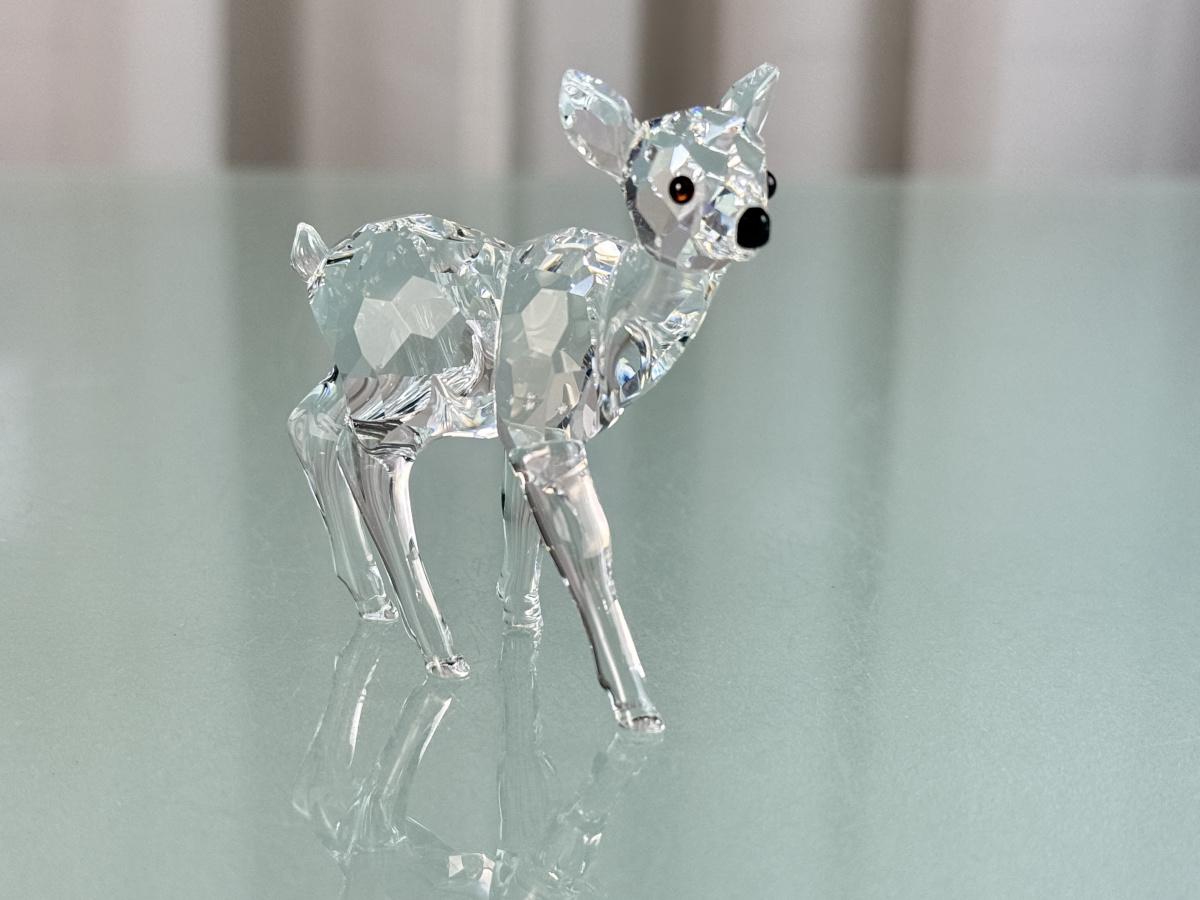 モンスターハイ( *´艸｀)ロシェ