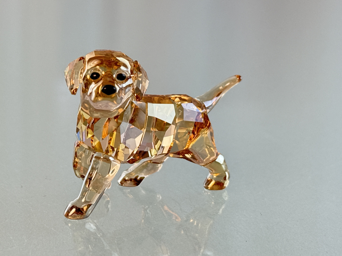 BAEC64E3-2533-4DEE-A519-