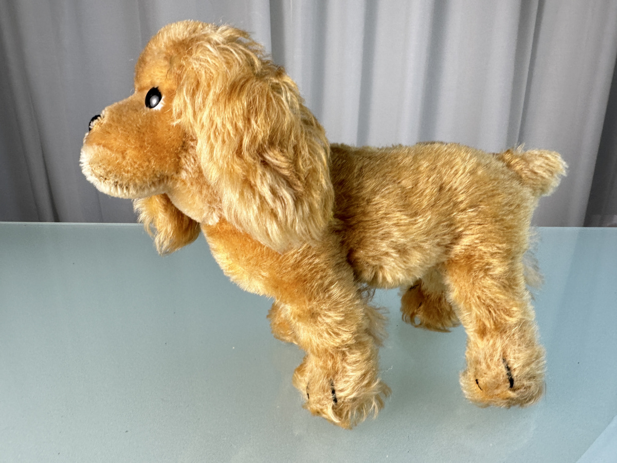 Steiff - シュタイフ★Cockie Cocker Spaniel★初期/コッカースパニエル アンティークシュタイフ コッカースパニエル Steiff 「Cockie