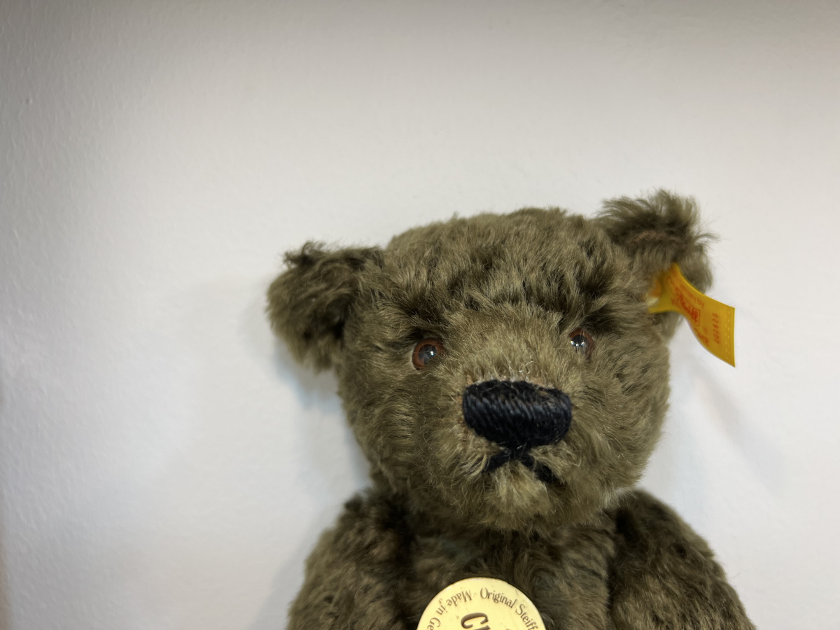 TaddyBearページ Benjamin the Black Bear 8 inch plush toy