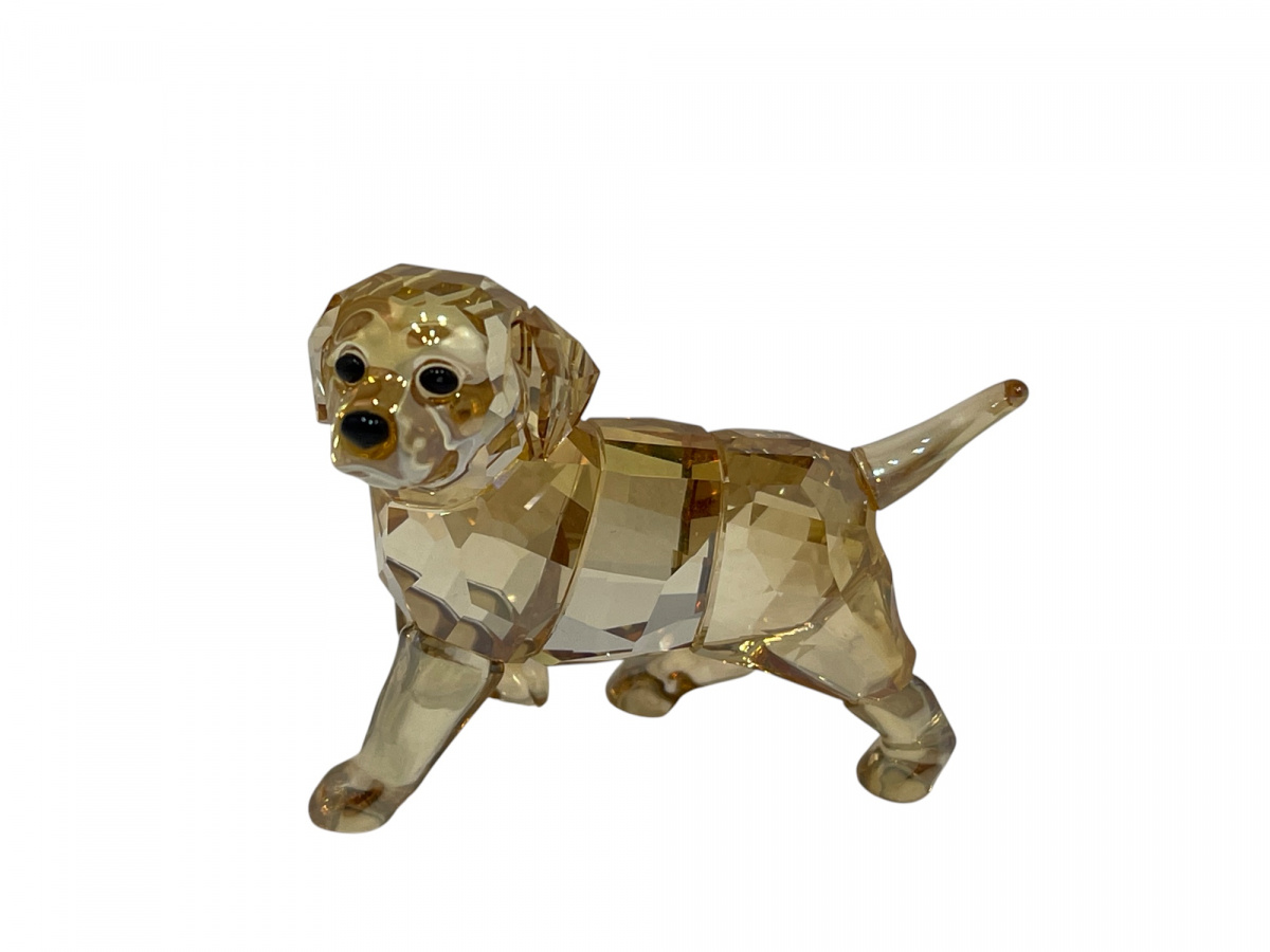 Swarovski 1142824 Golden Retriever Puppy Standing 4.5cm. | eBay